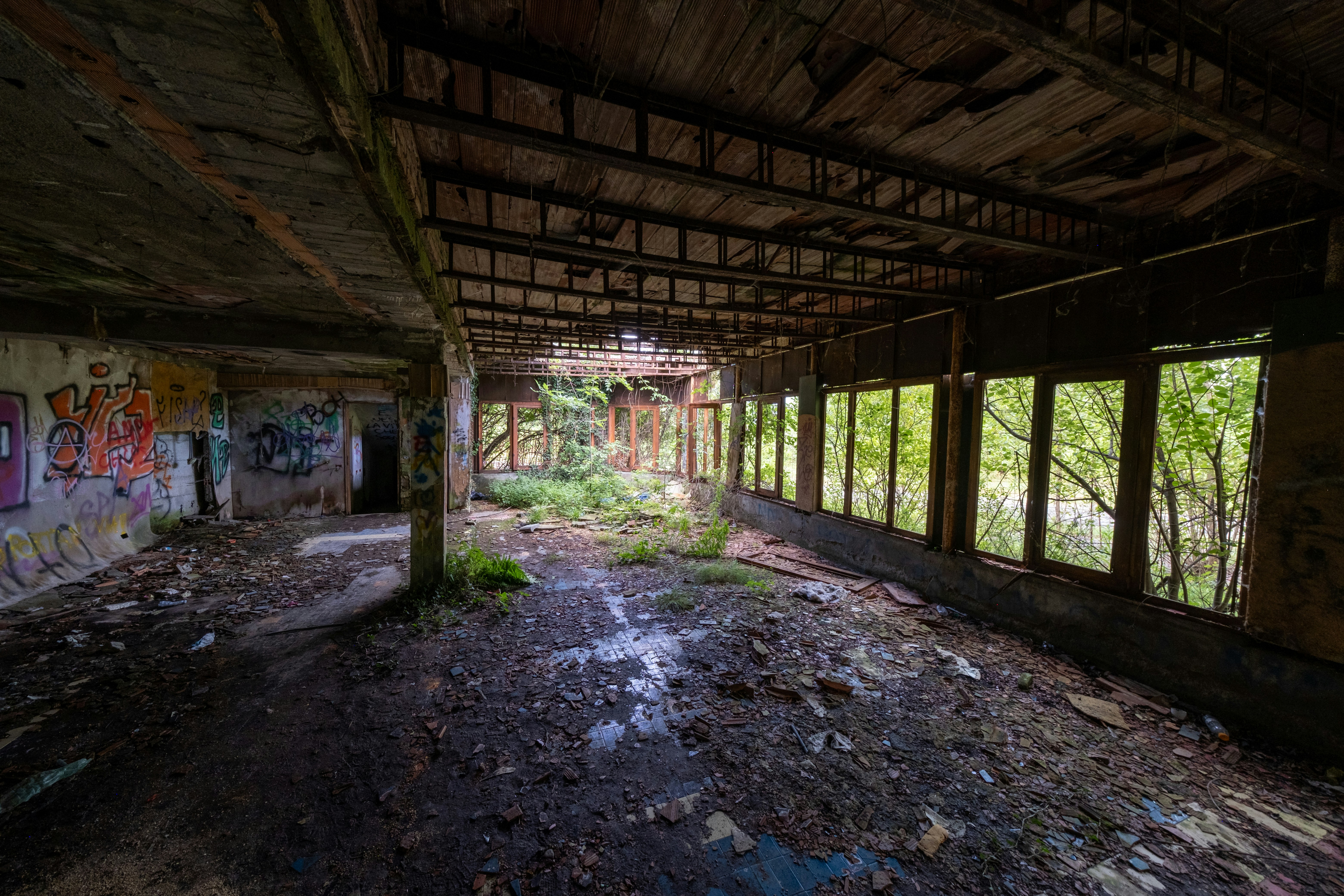 Photo by francesco_ungaro