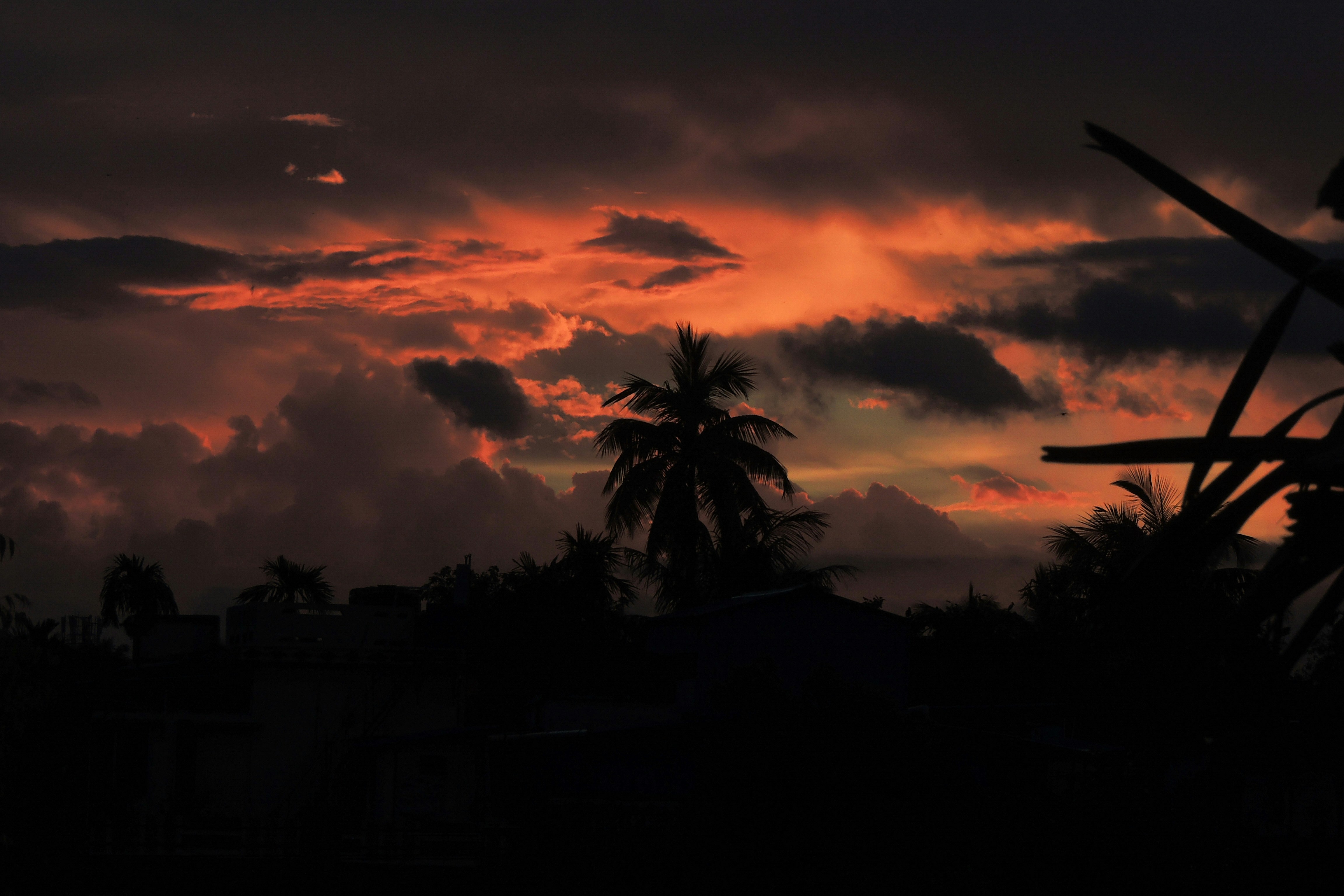 Photo by monoswita29