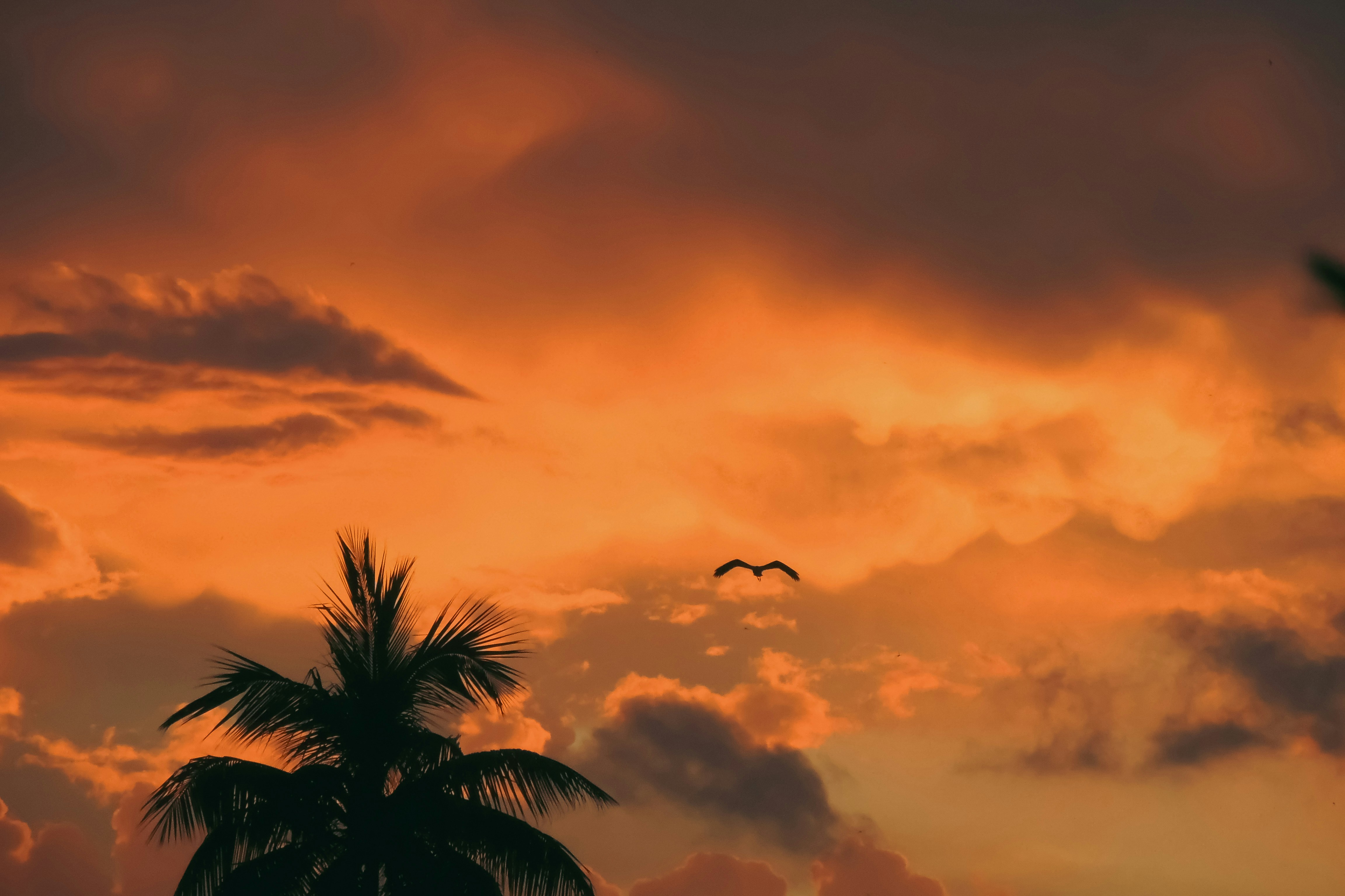 Photo by monoswita29