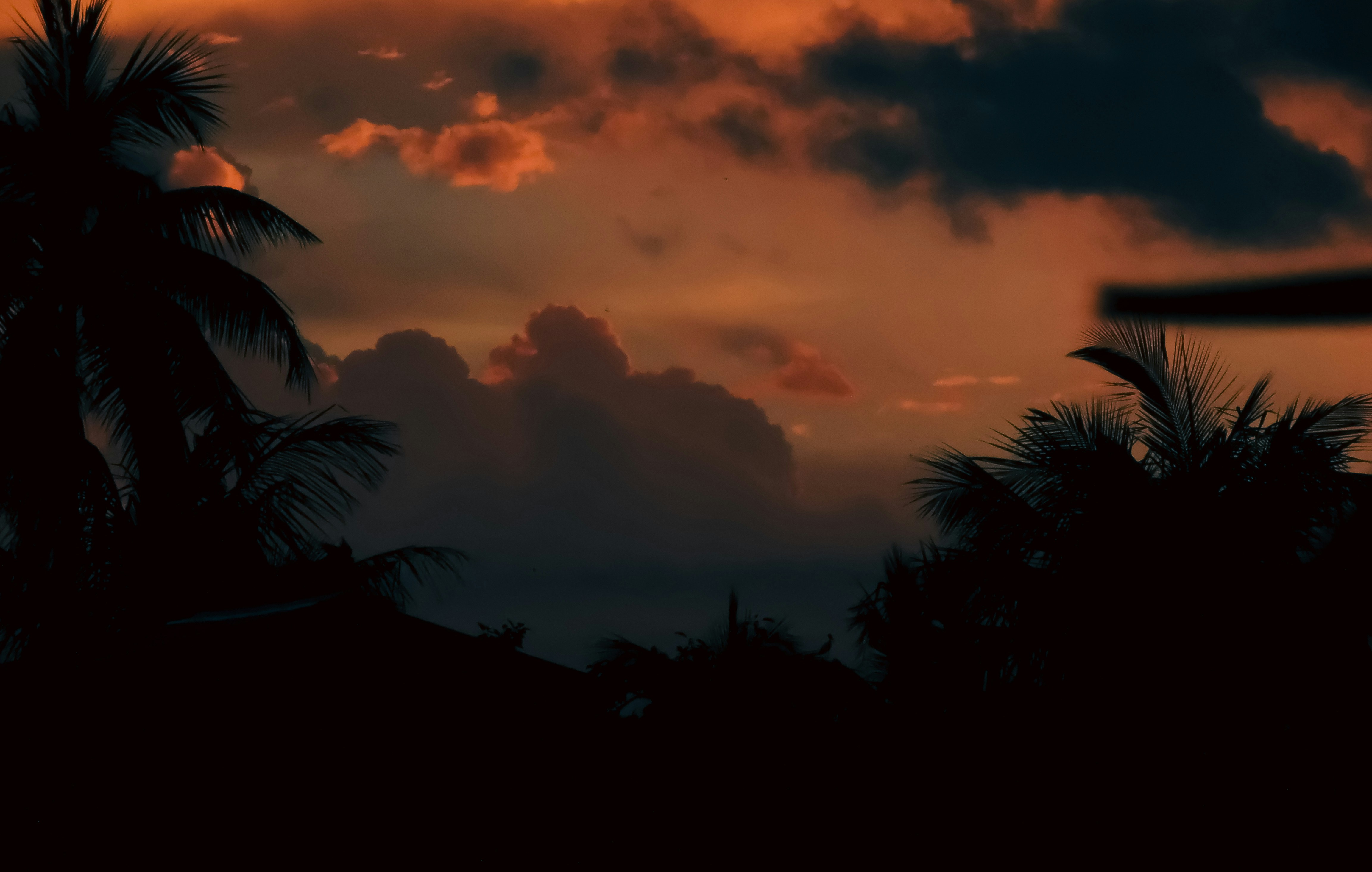 Photo by monoswita29