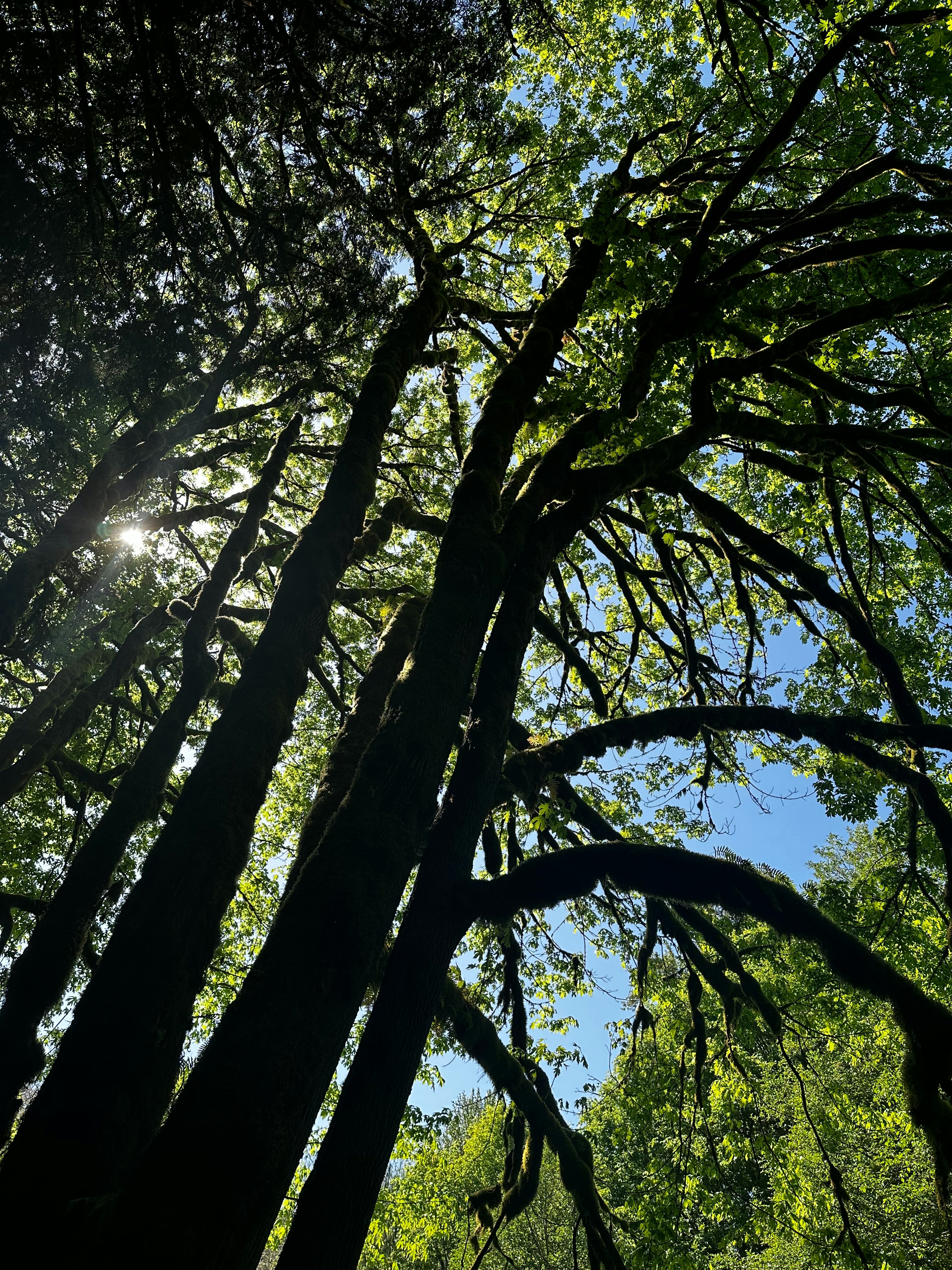 Photo by lette_alvarez