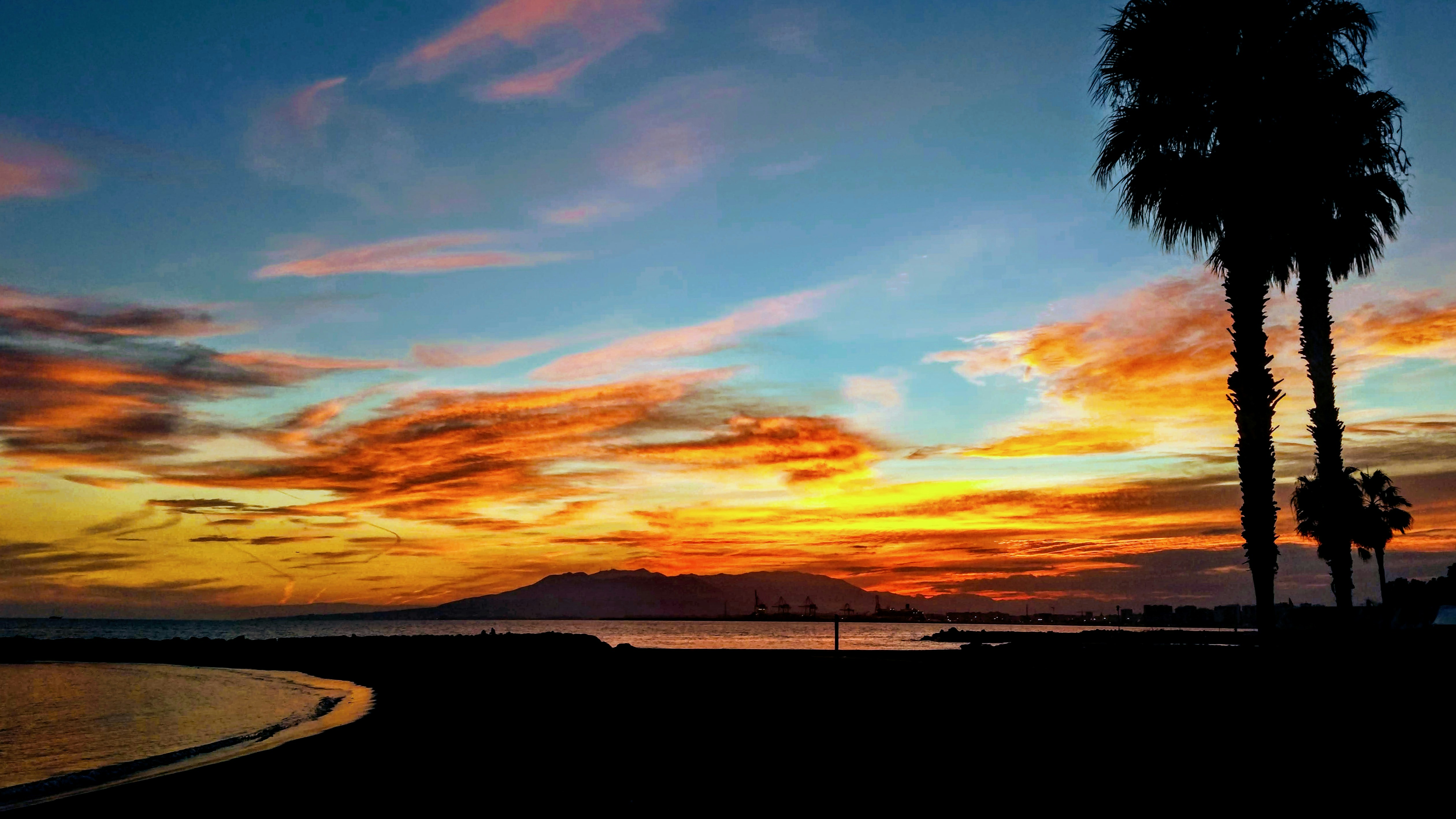 A palm tree is silhouetted against a colorful sunset