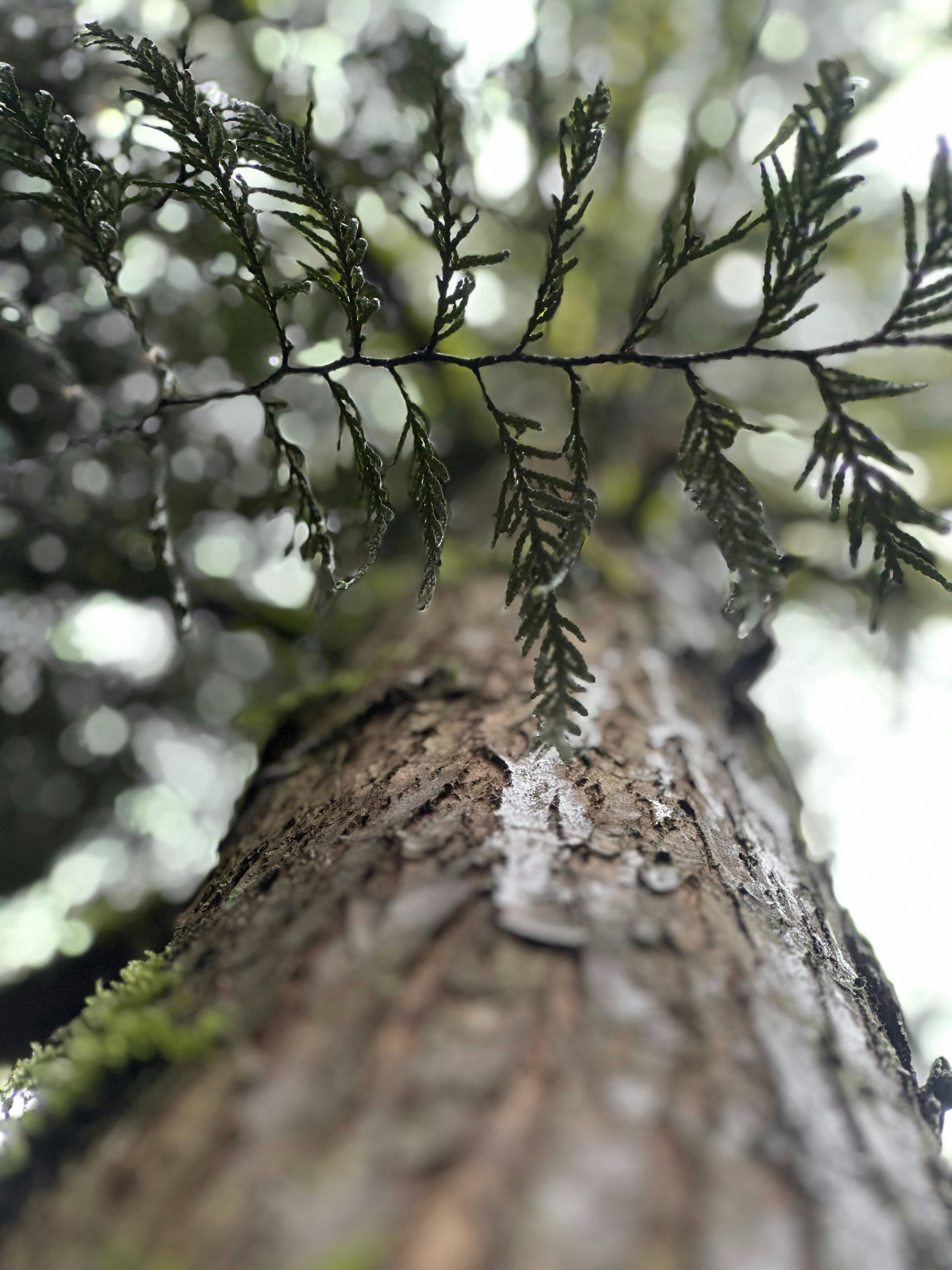 Photo by lette_alvarez