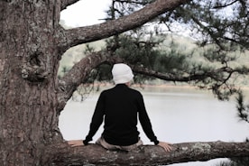A person sitting on a tree branch overlooking a lake