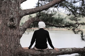 A person sitting on a tree branch overlooking a lake