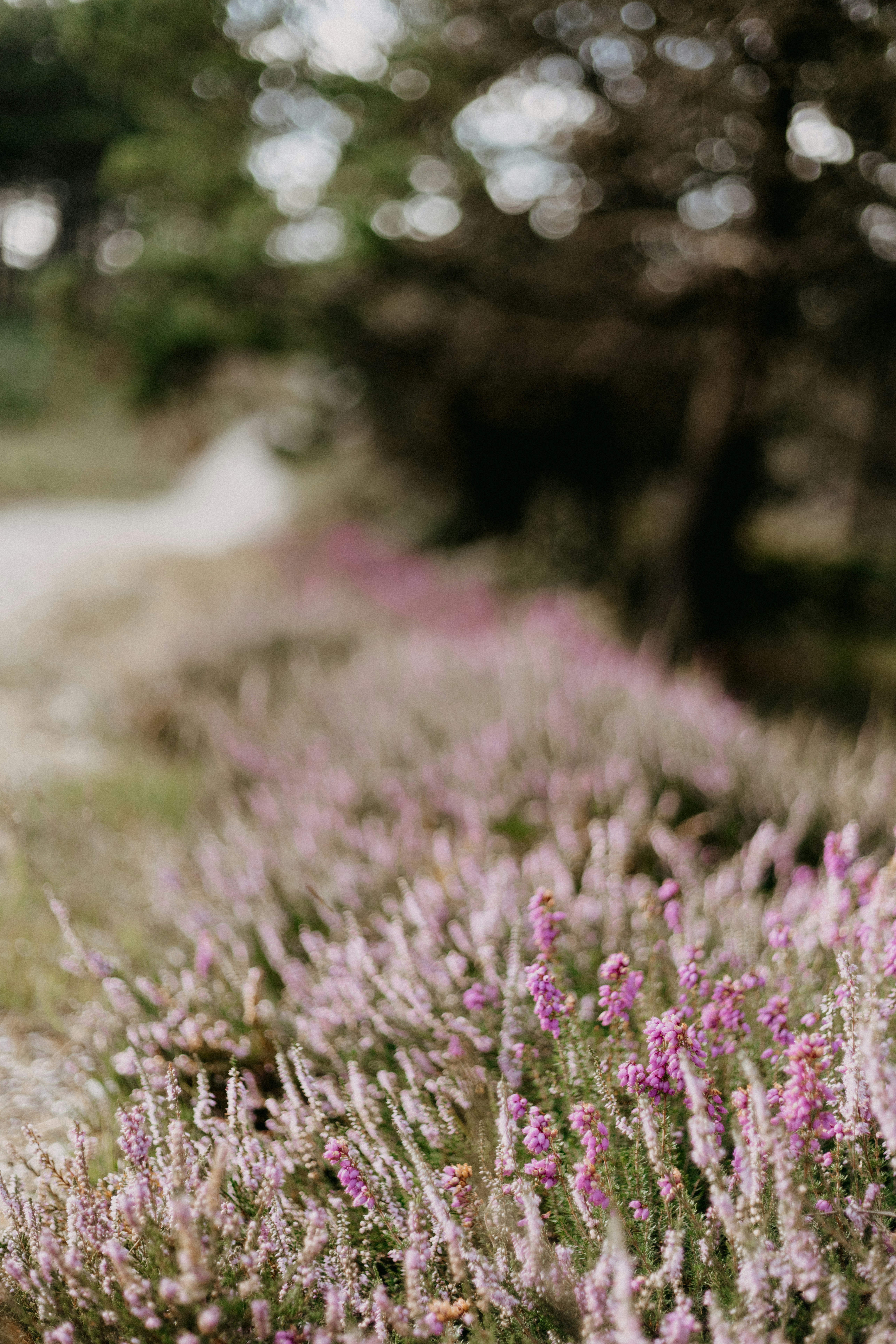 Photo by anniespratt