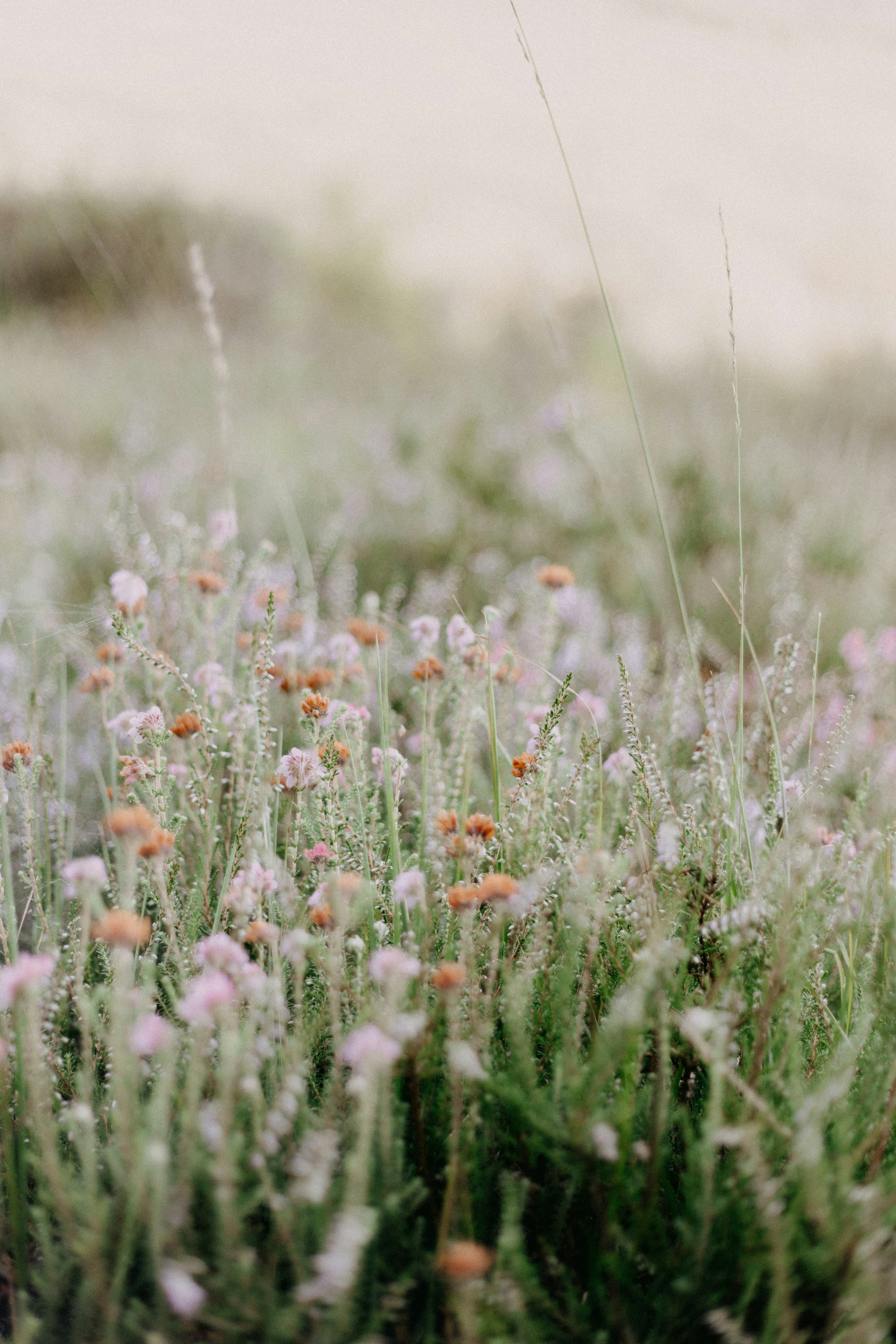 Photo by anniespratt