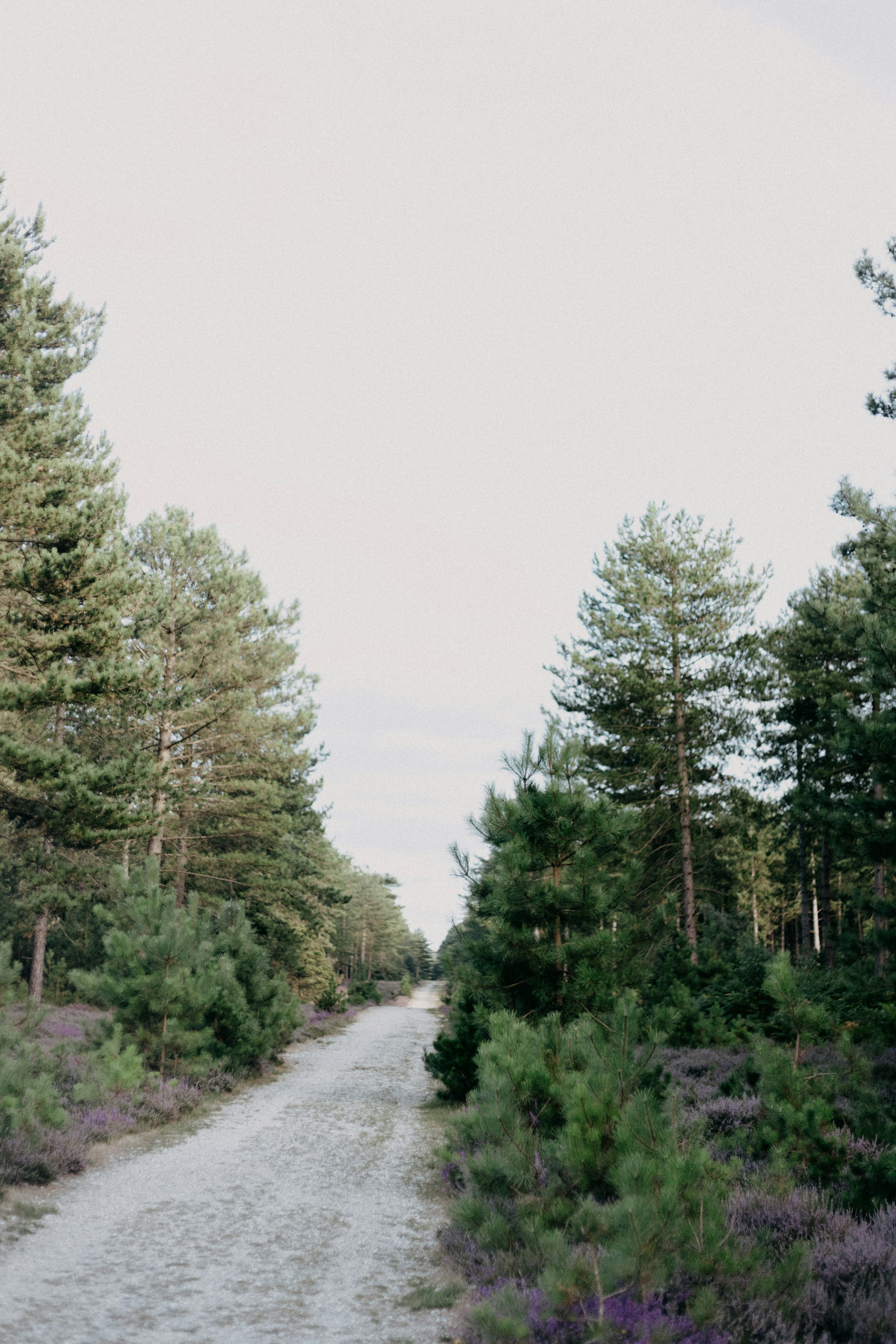 Photo by anniespratt