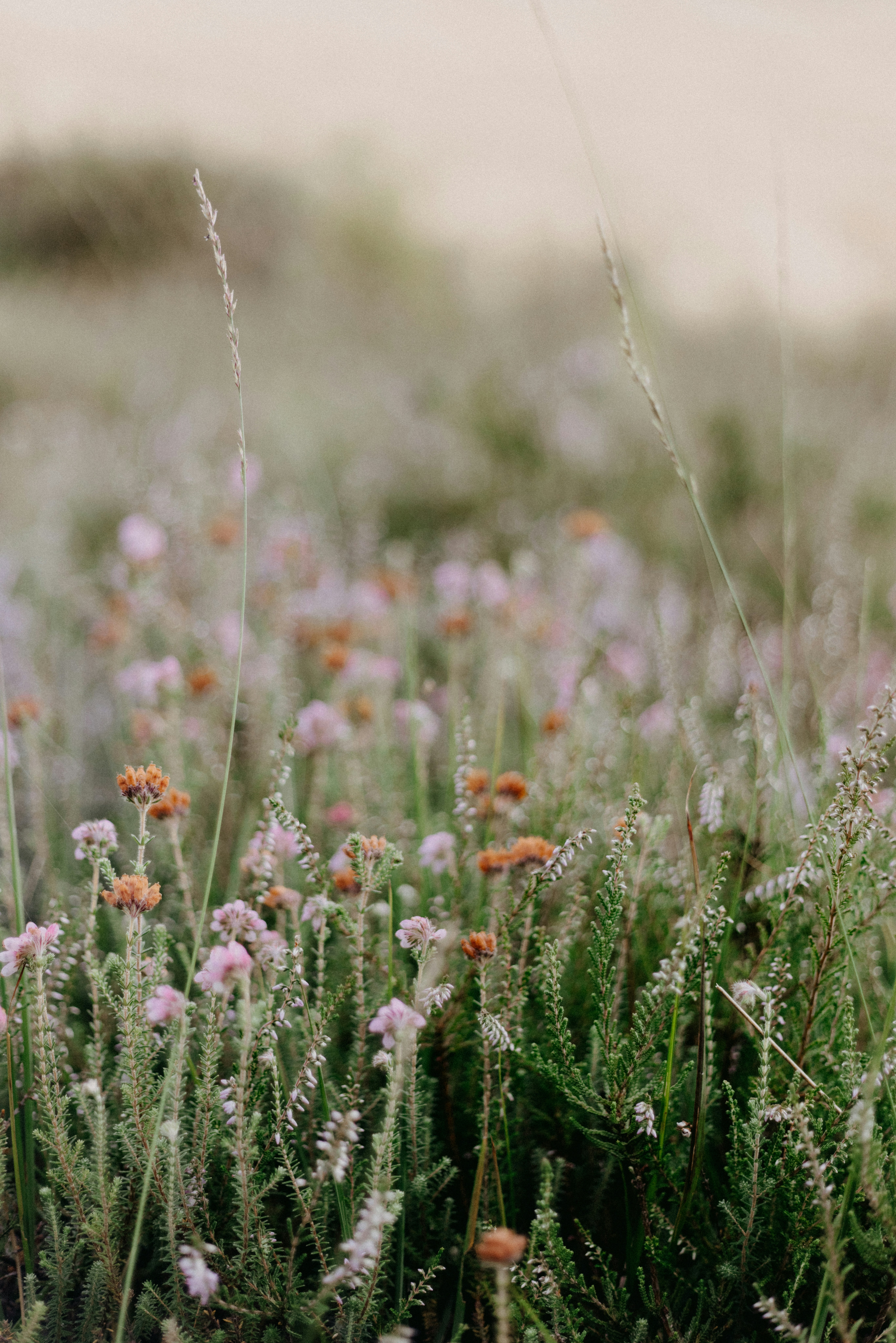 Photo by anniespratt