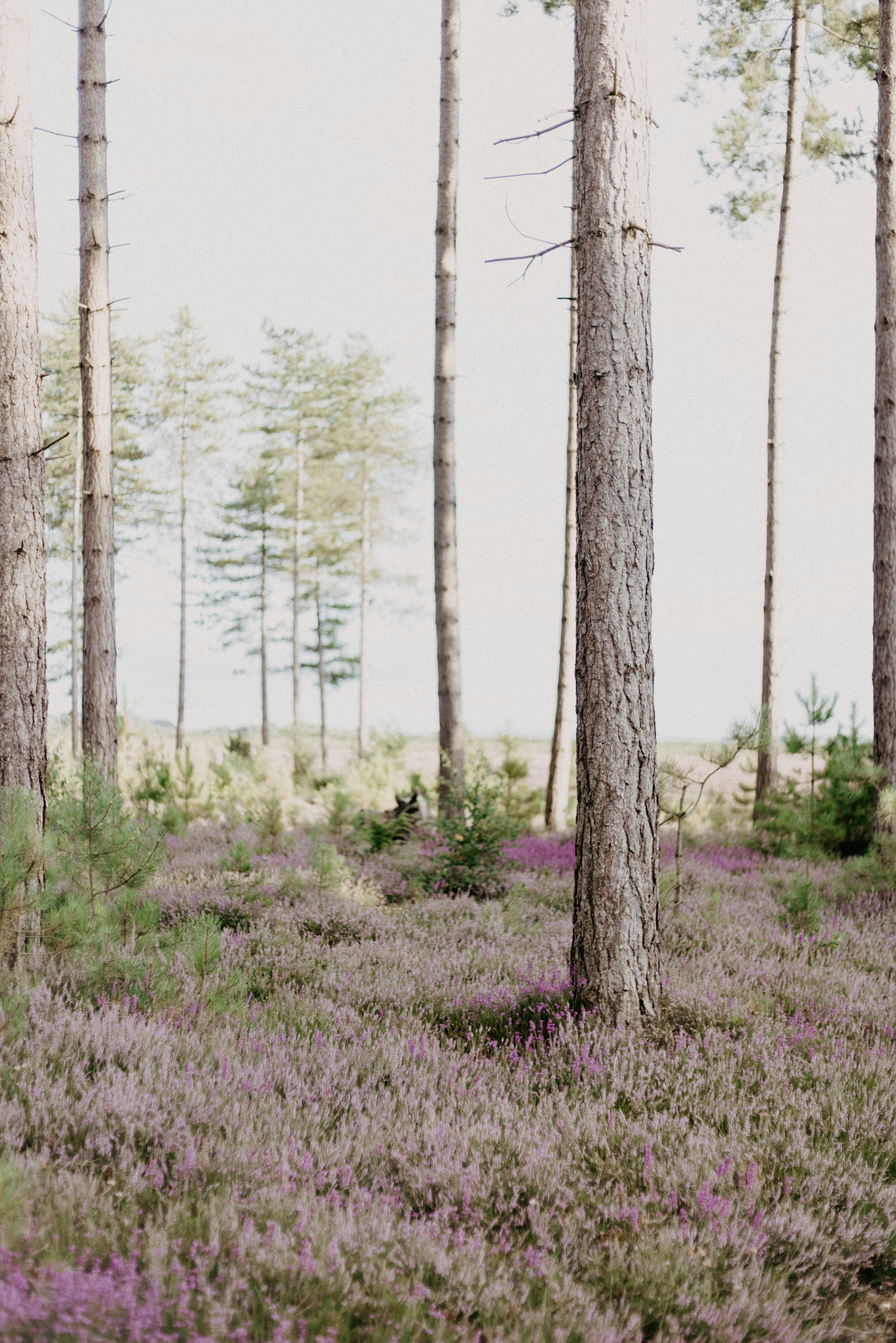 Photo by anniespratt