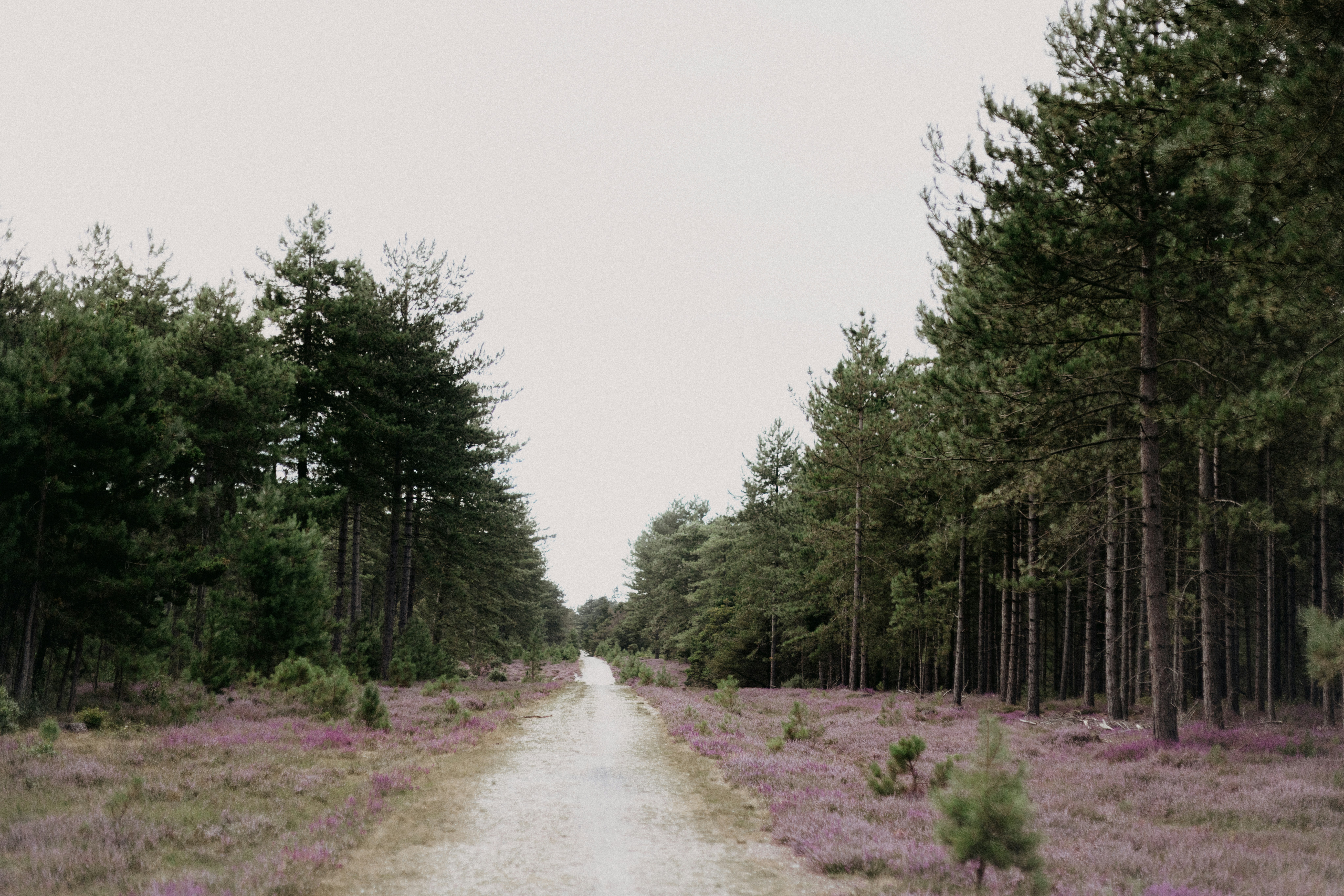 Photo by anniespratt