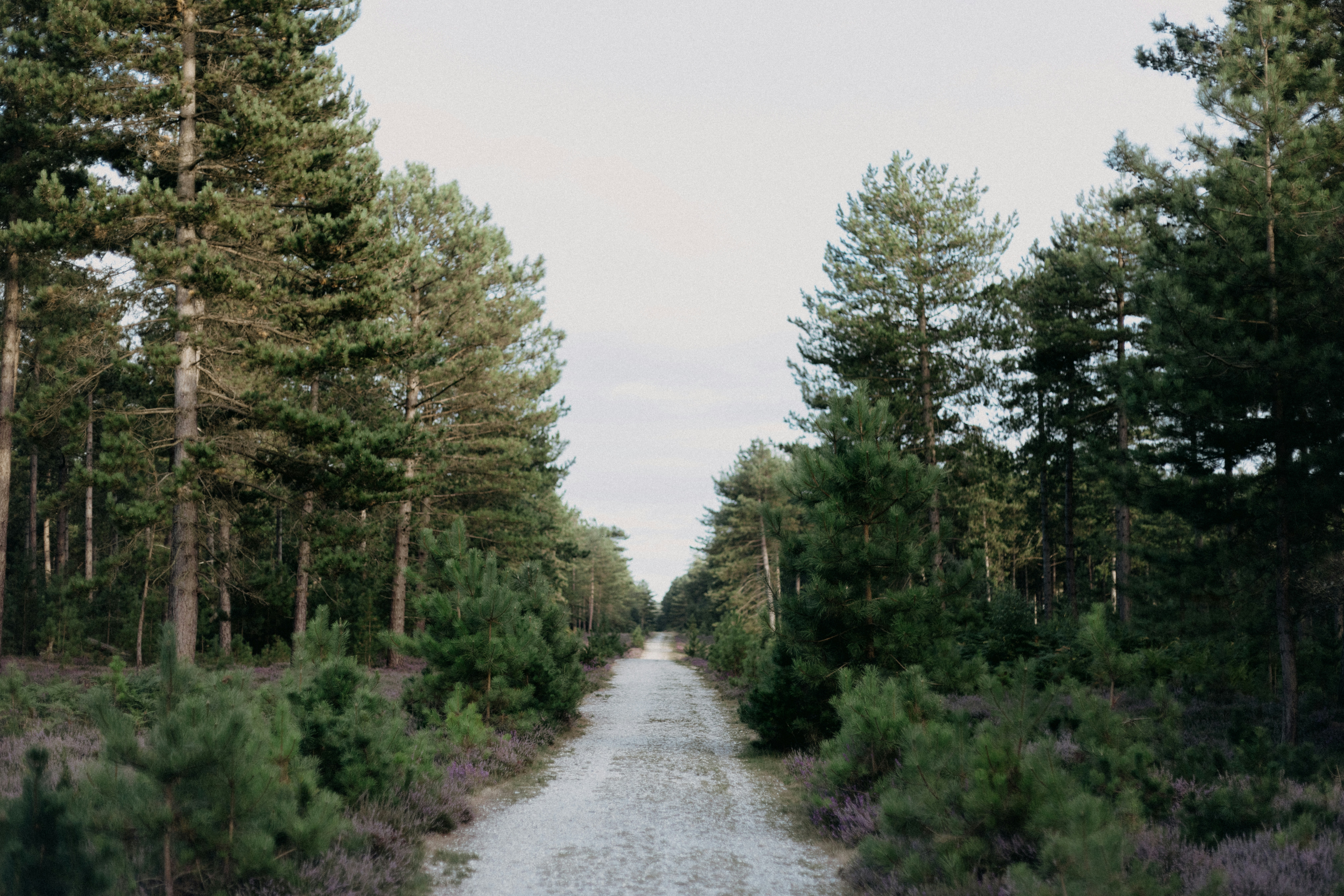 Photo by anniespratt