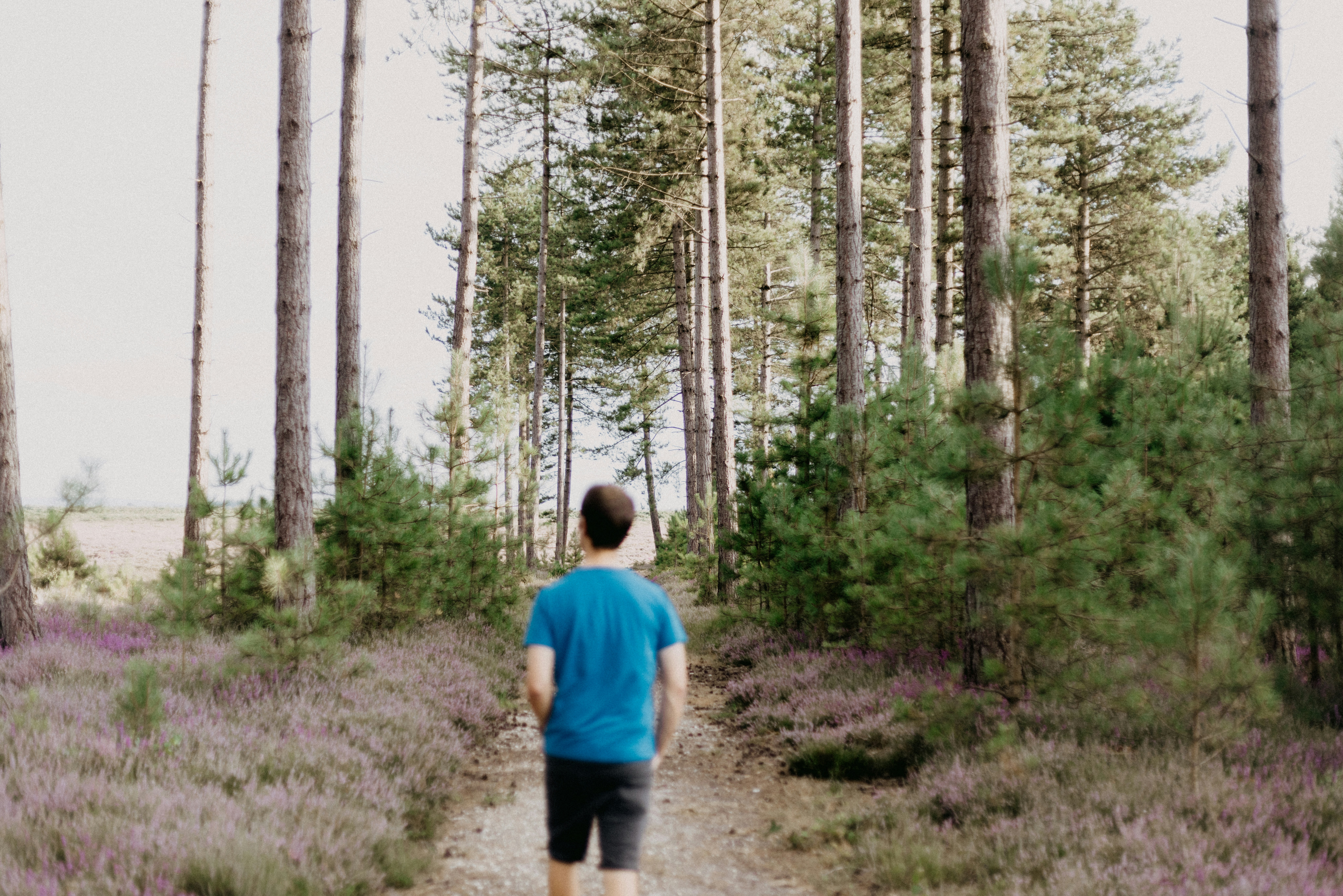 Photo by anniespratt