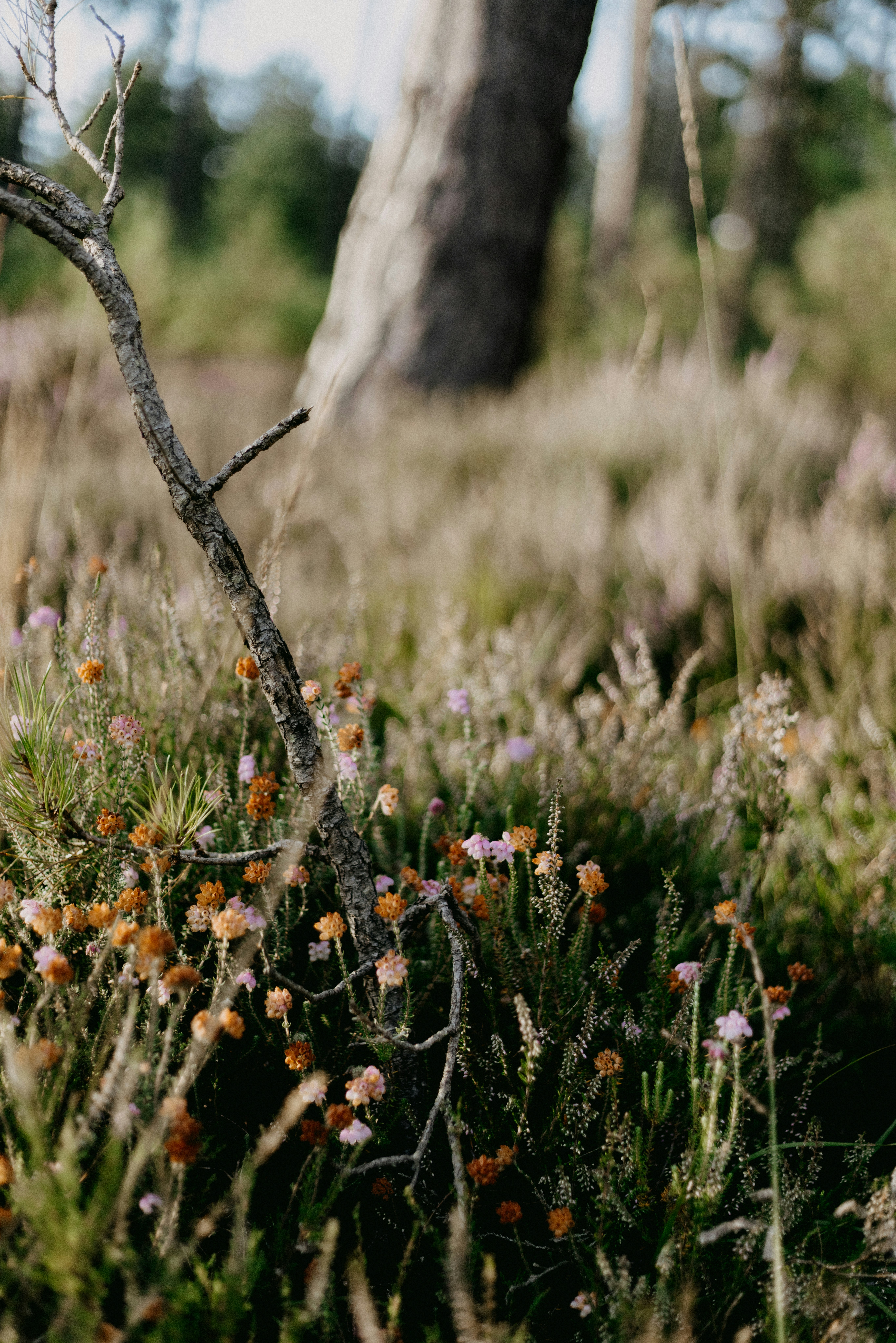 Photo by anniespratt