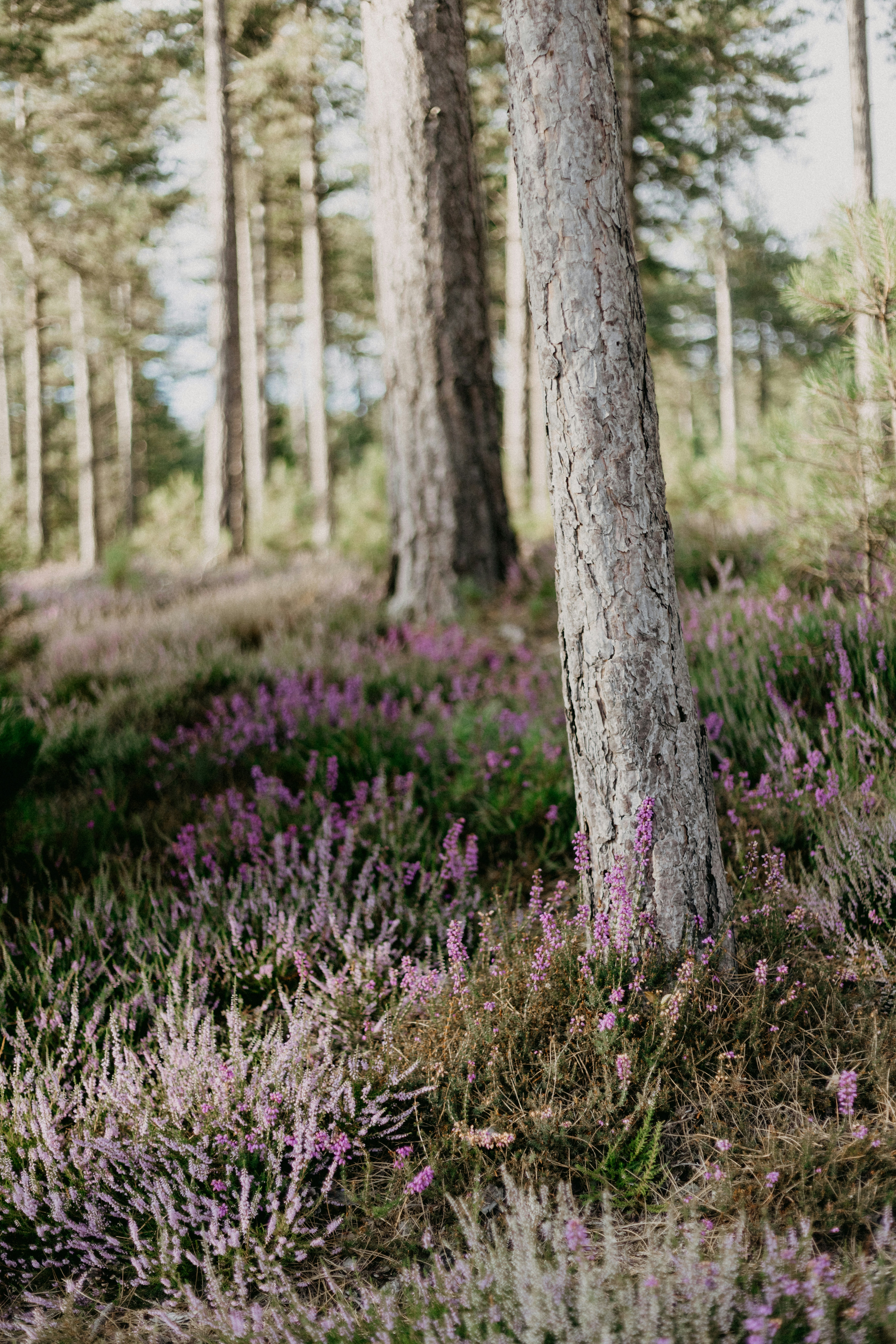 Photo by anniespratt