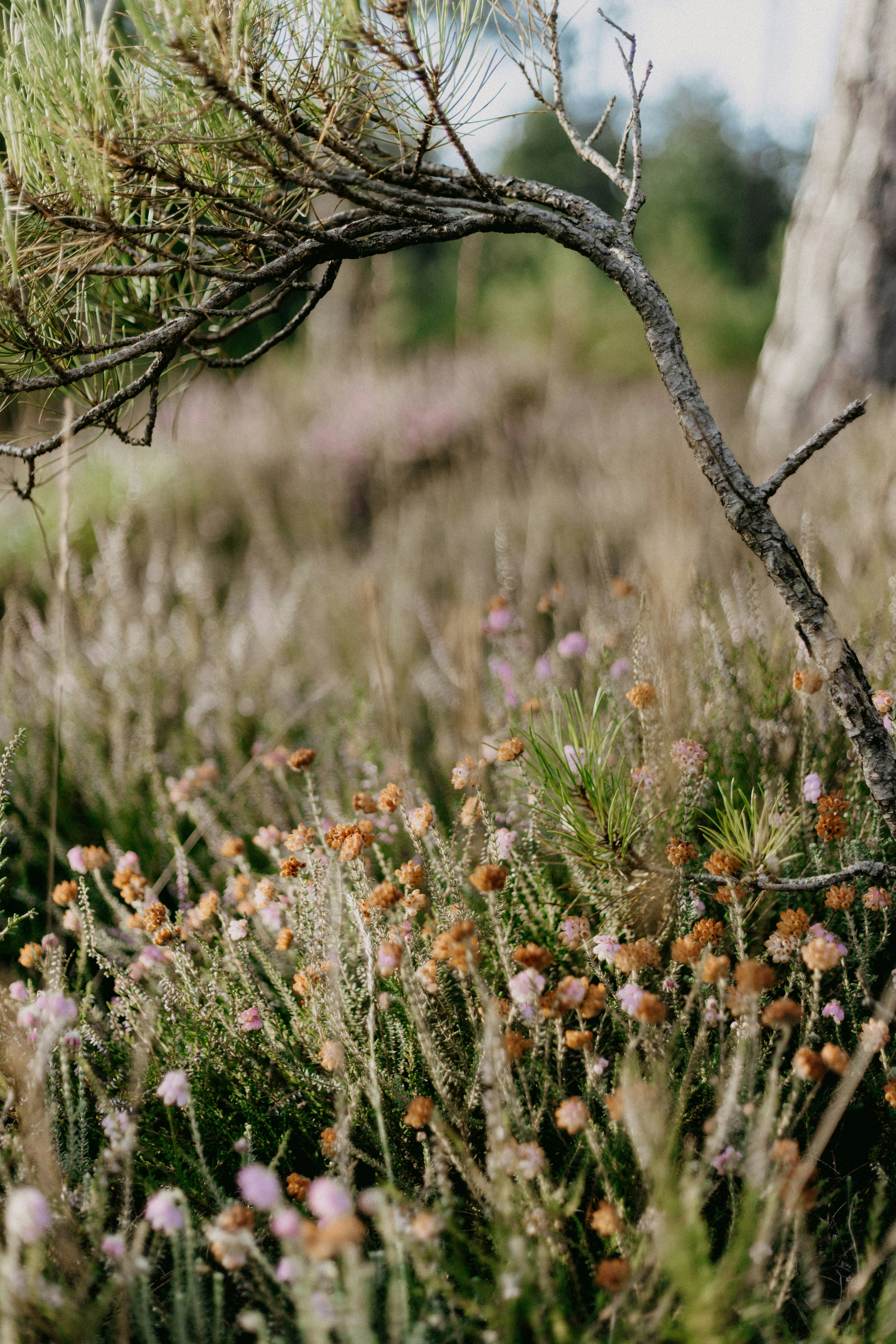 Photo by anniespratt