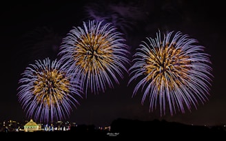 A bunch of fireworks that are in the sky