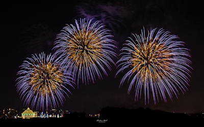 A bunch of fireworks that are in the sky