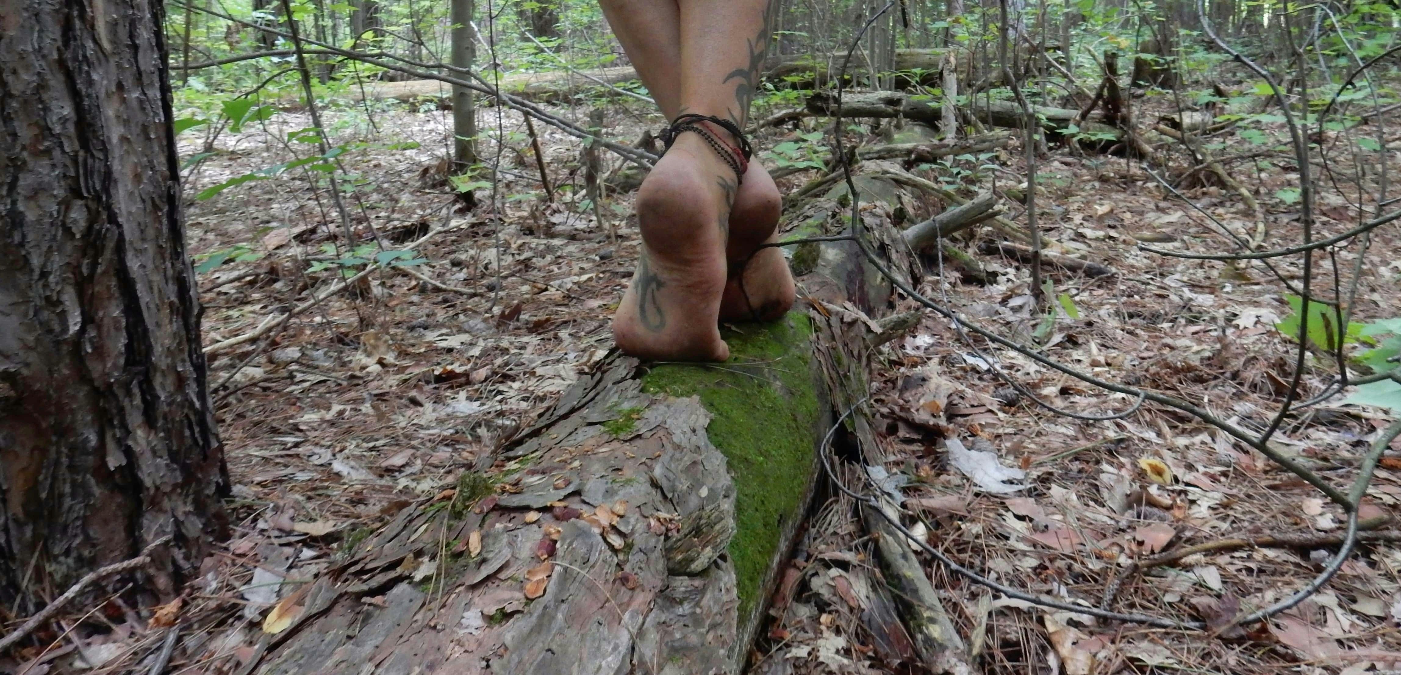 A person walking on a log in the woods
