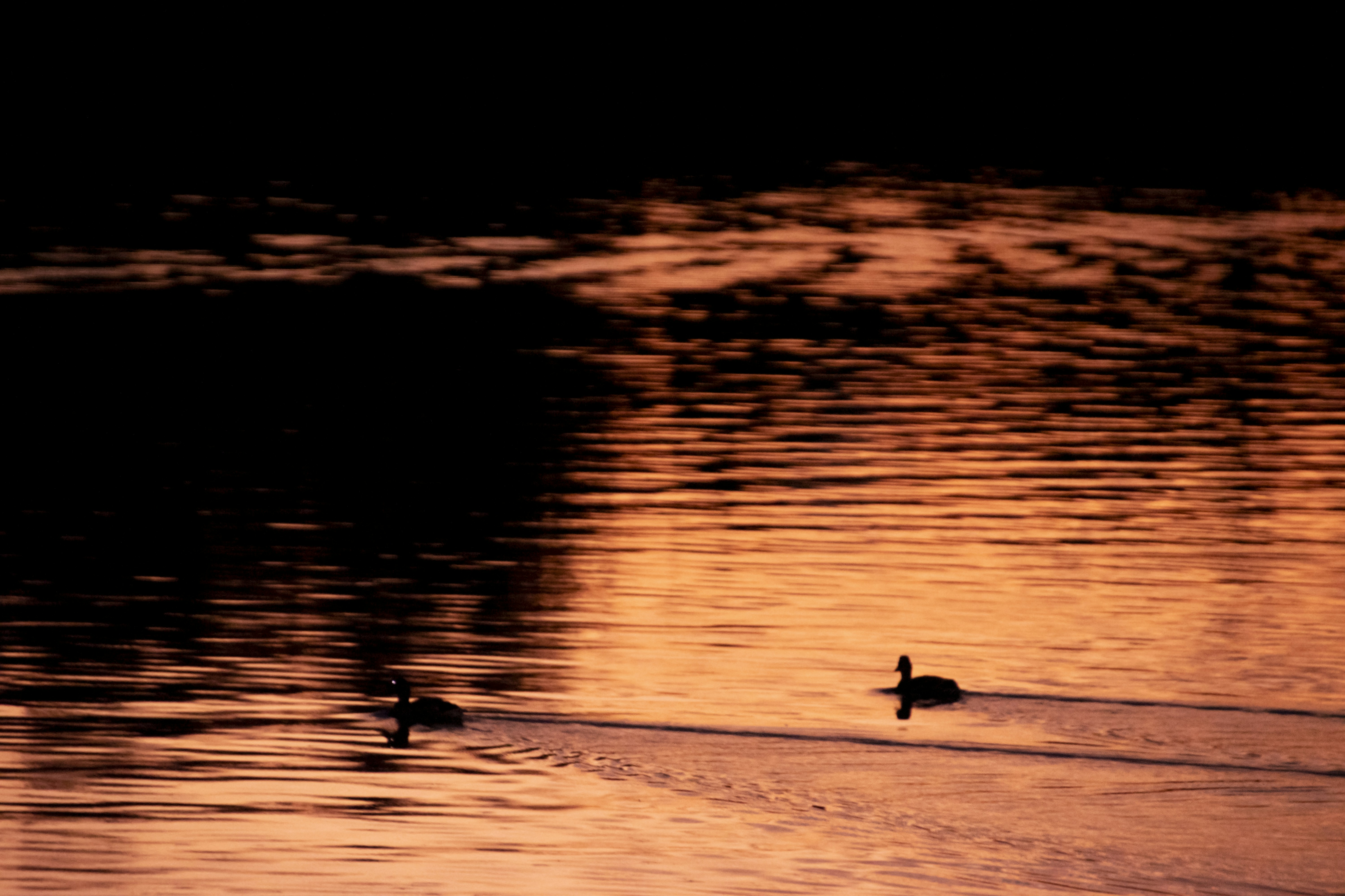 Photo by nh_landscapes