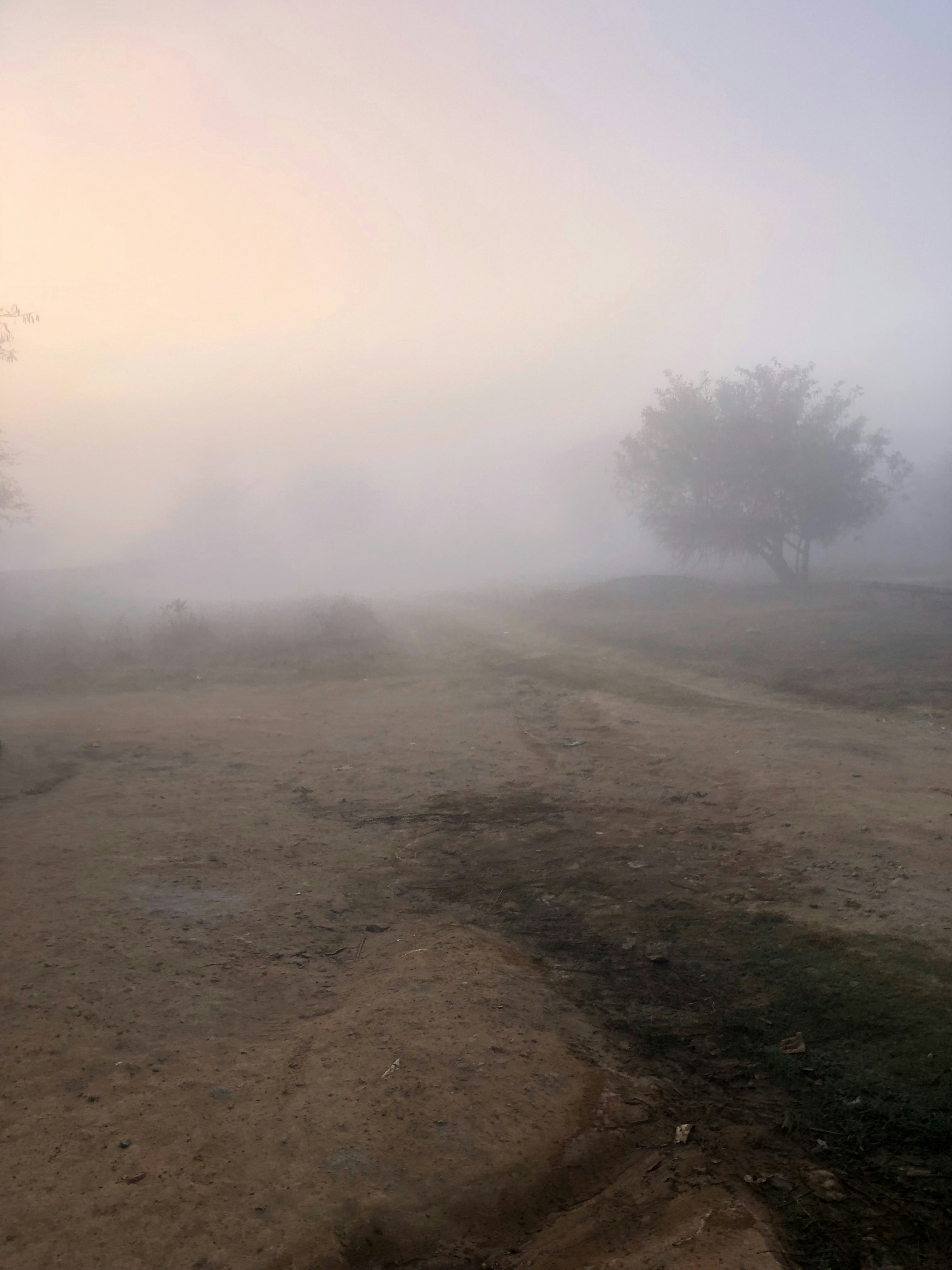 Photo by cynthiakangwa123