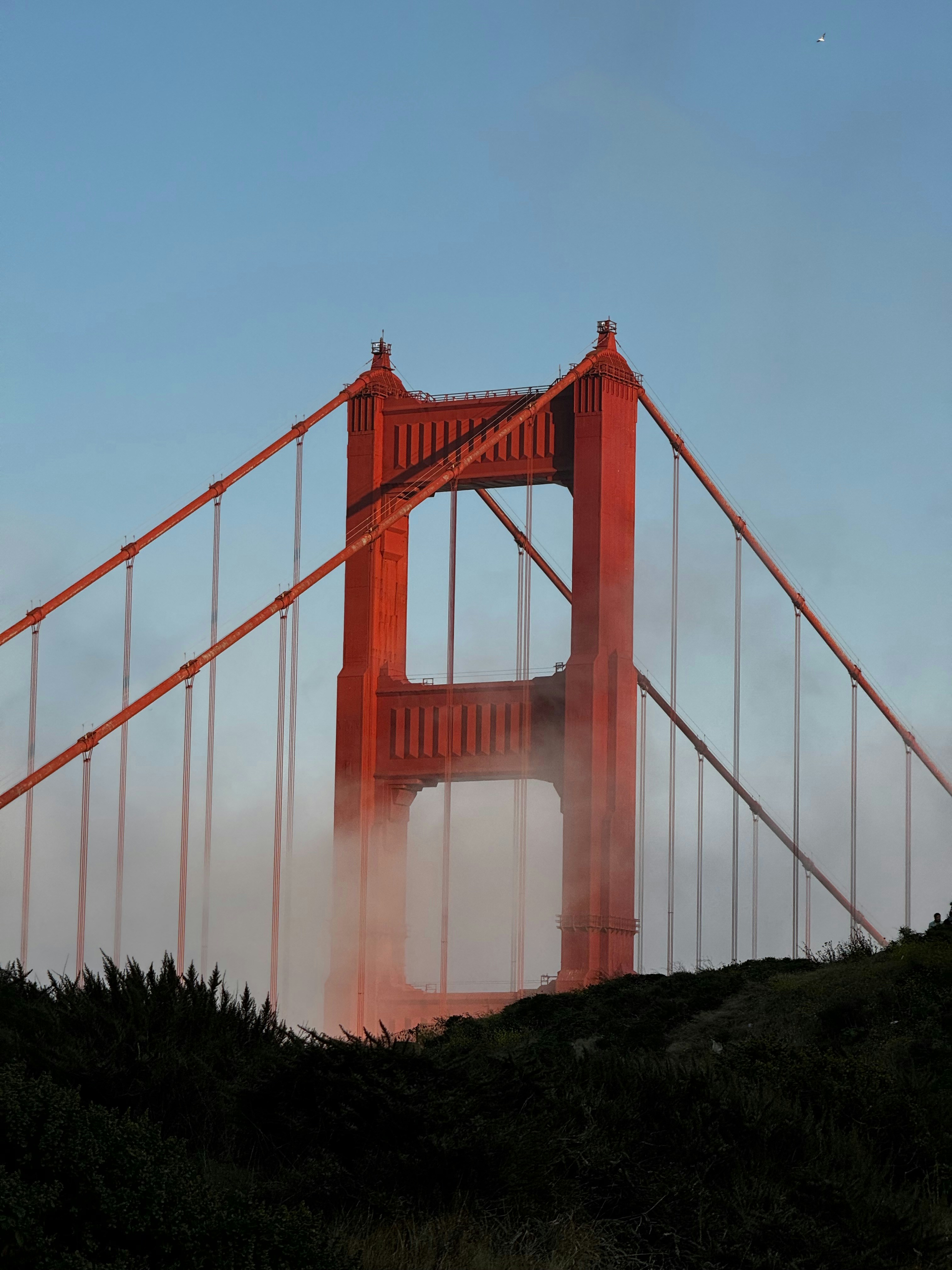 Photo by karanthakkar