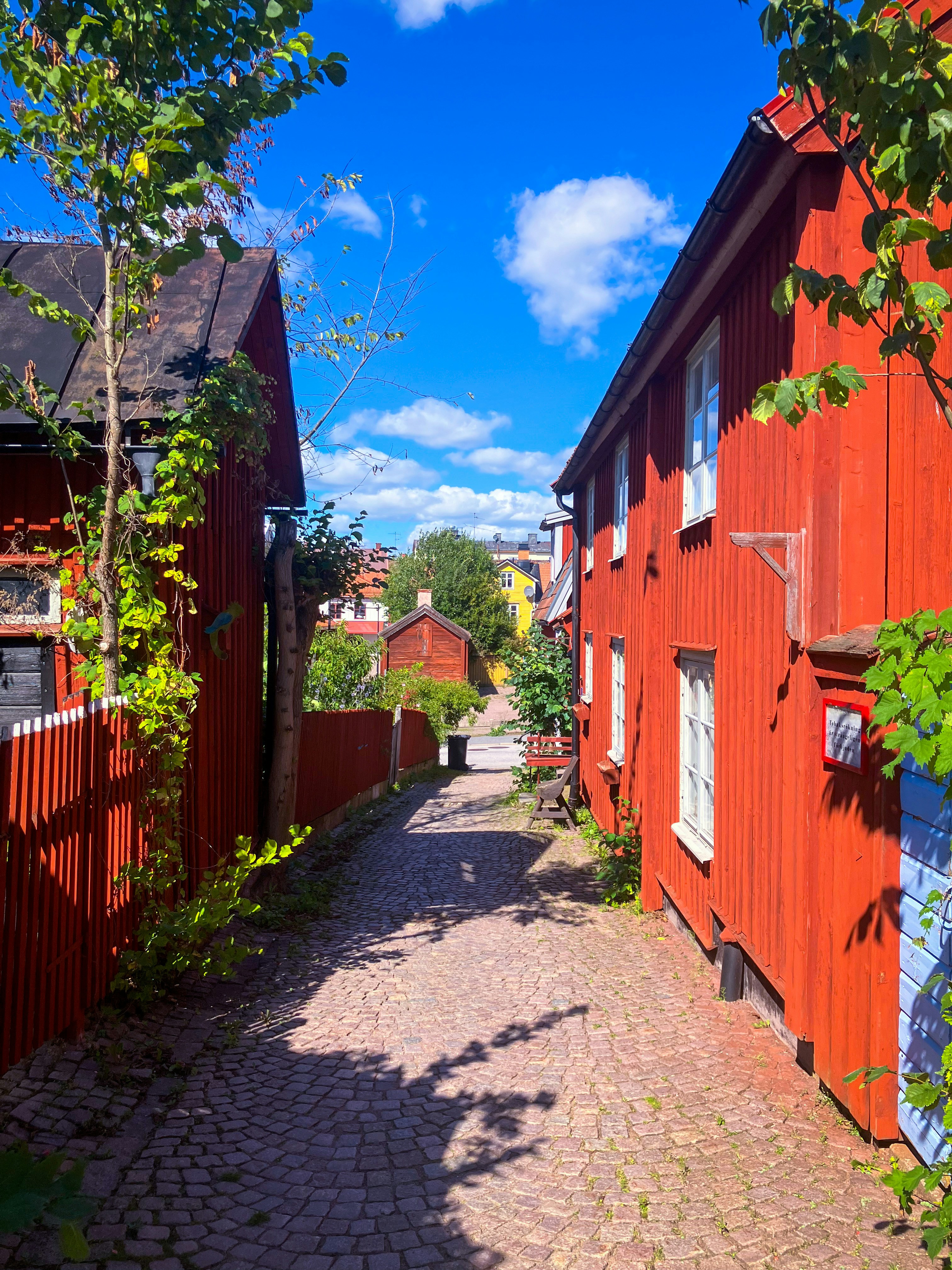 Vimmerby: tussen Astrid Lindgrens verhalen en het oerbos van Norra Kvill