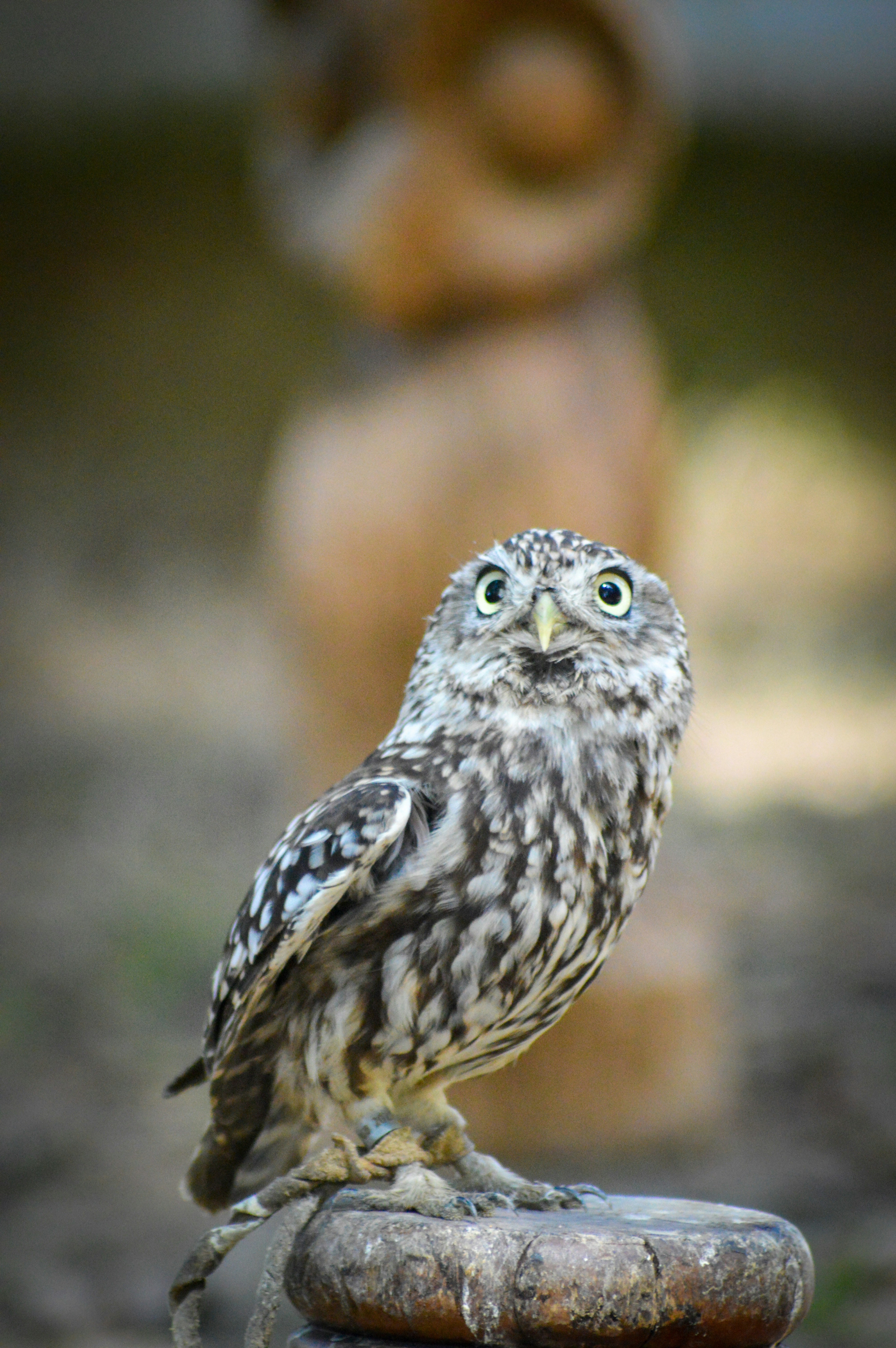 Photo by richardmultimedia