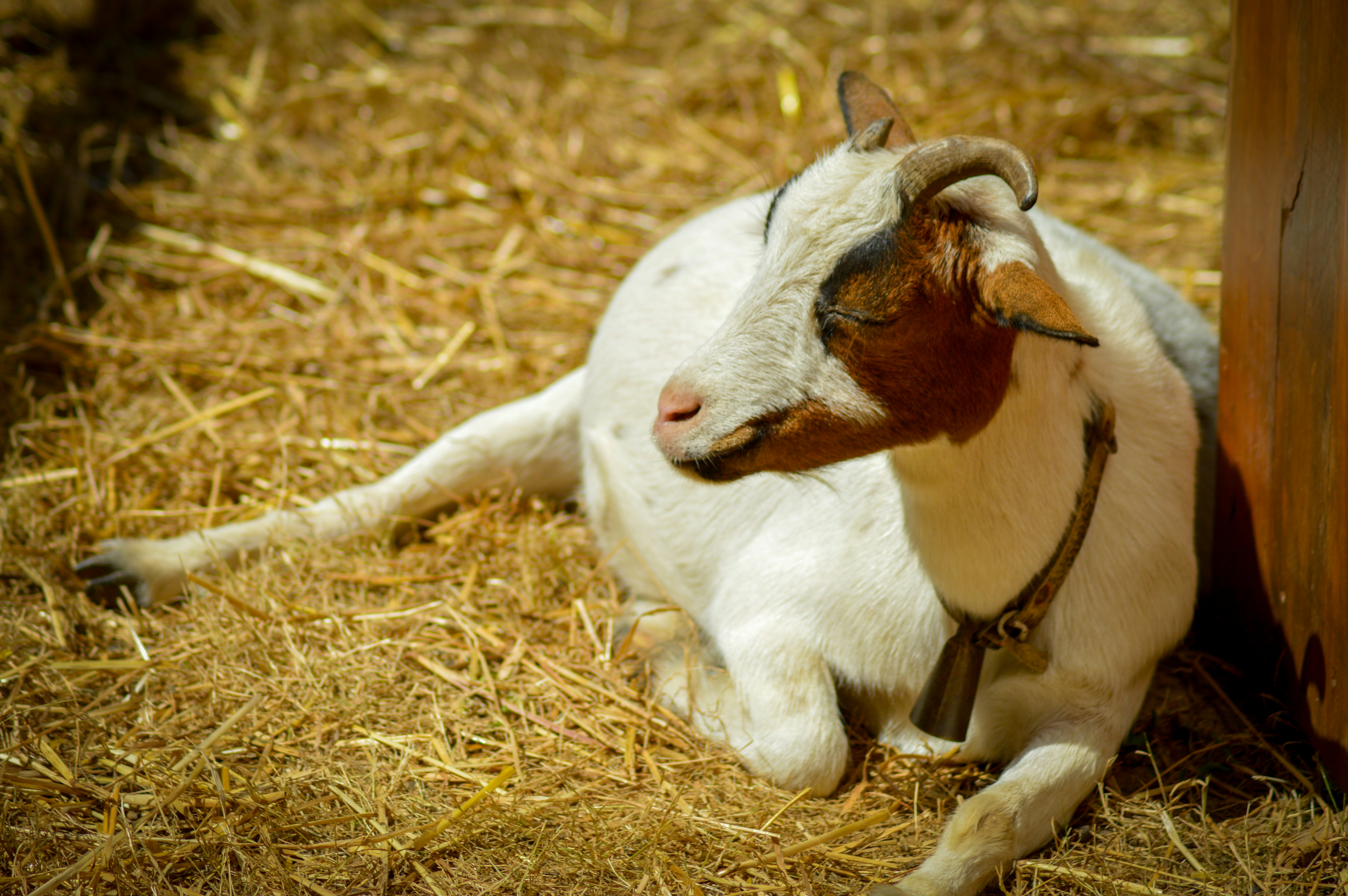 Photo by richardmultimedia