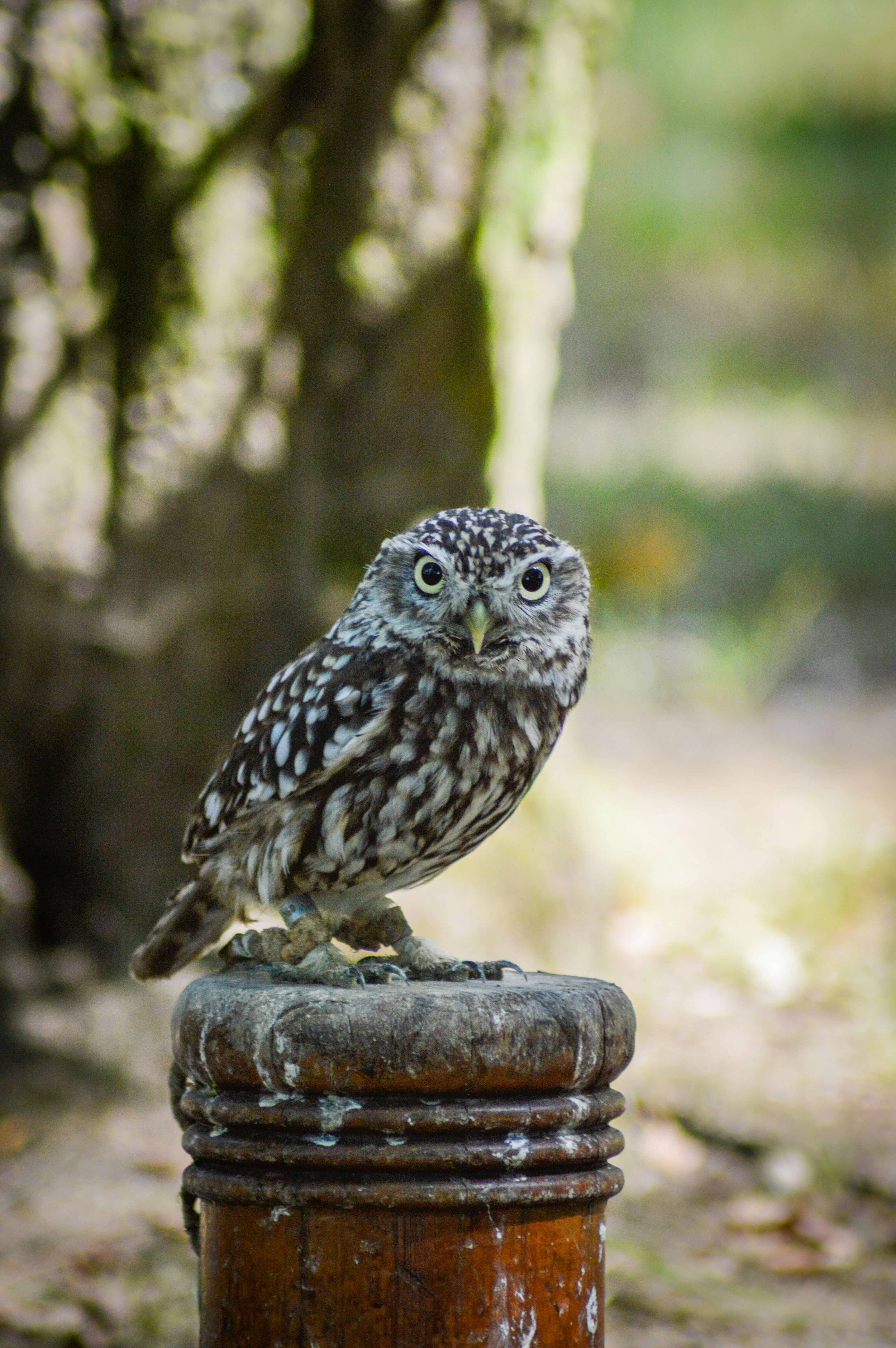 Photo by richardmultimedia