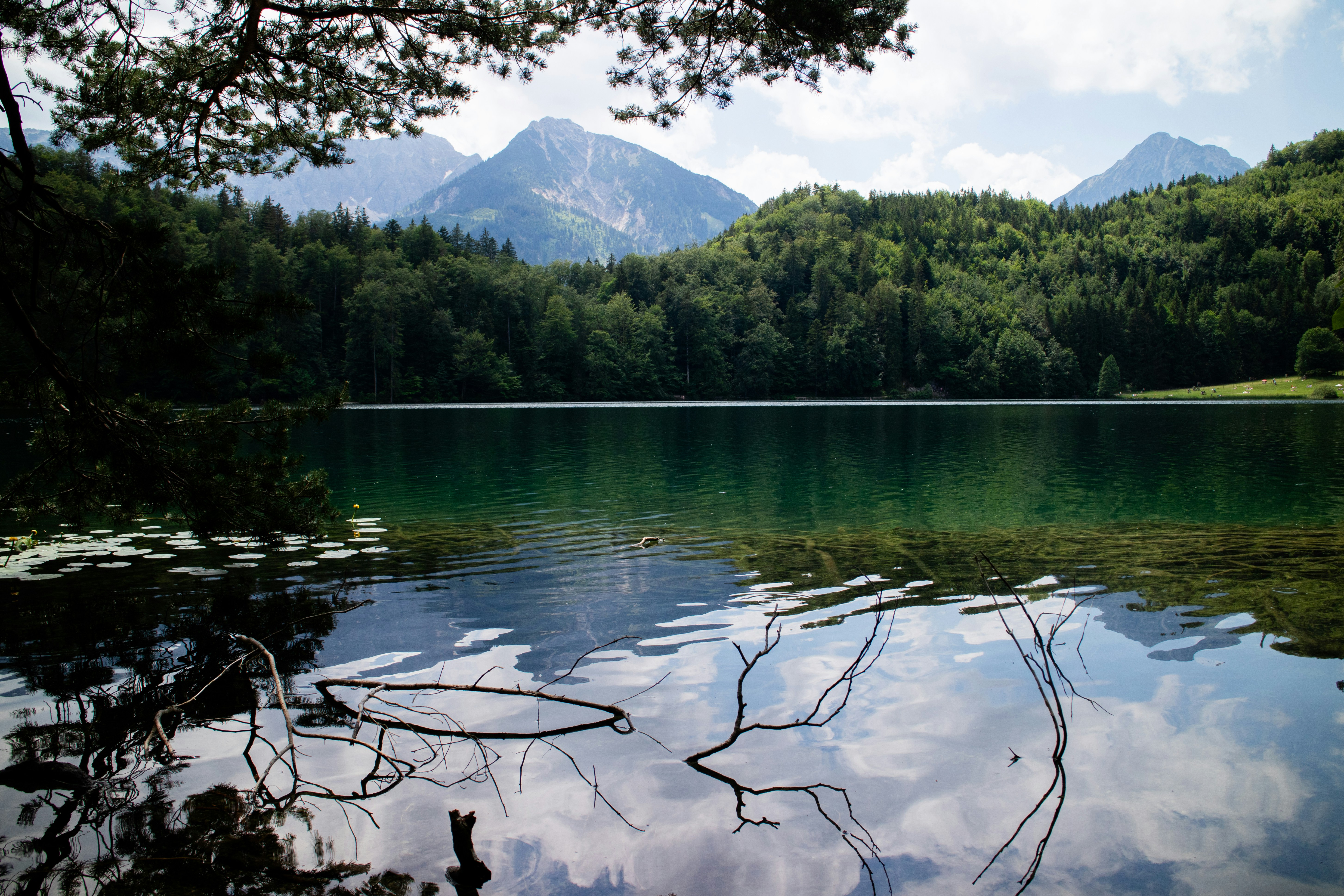 A body of water surrounded by trees and mountains