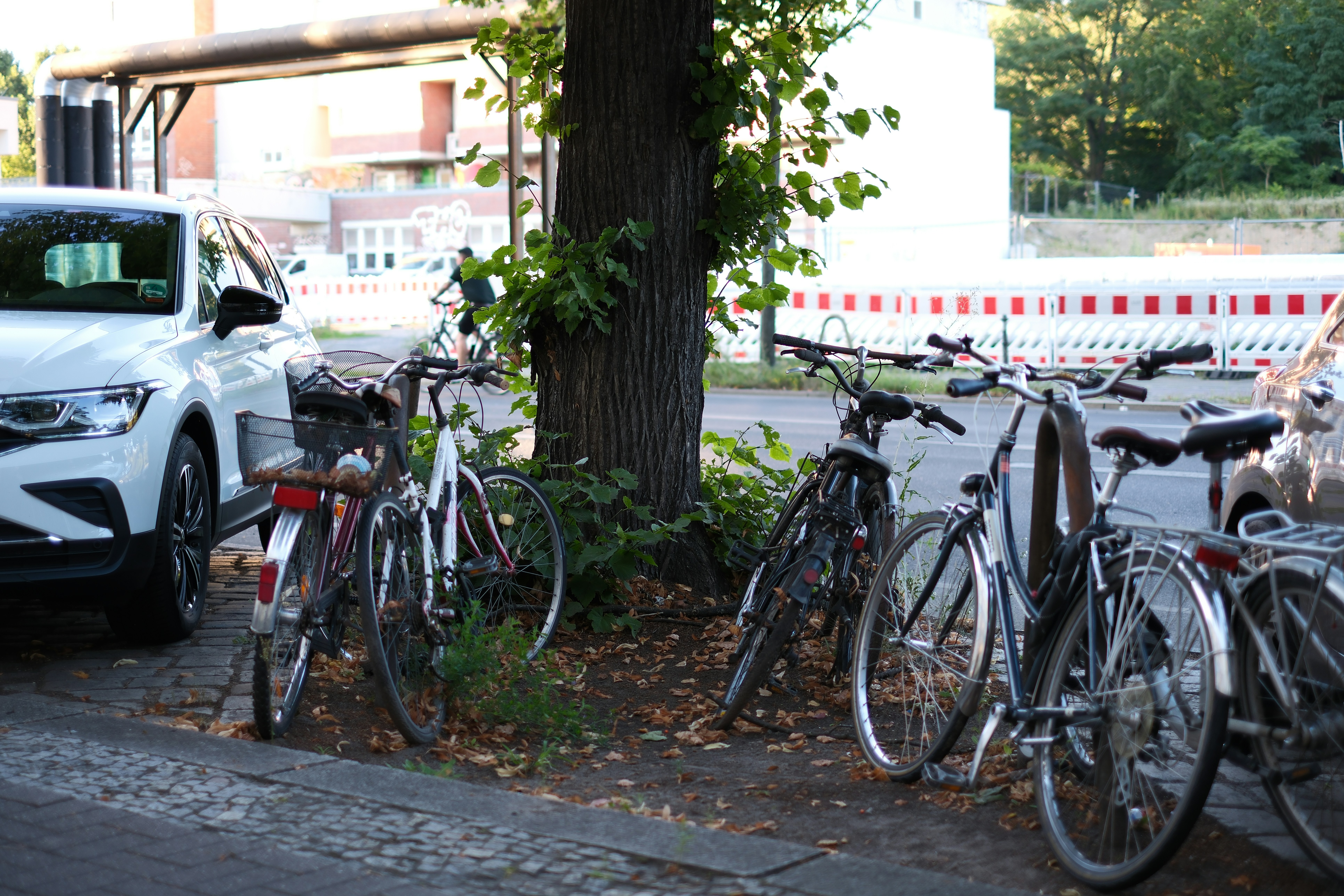 A bunch of bikes parked next to a tree - a-bunch-of-bikes-parked-next-to-a-tree-opnsx8hq38M