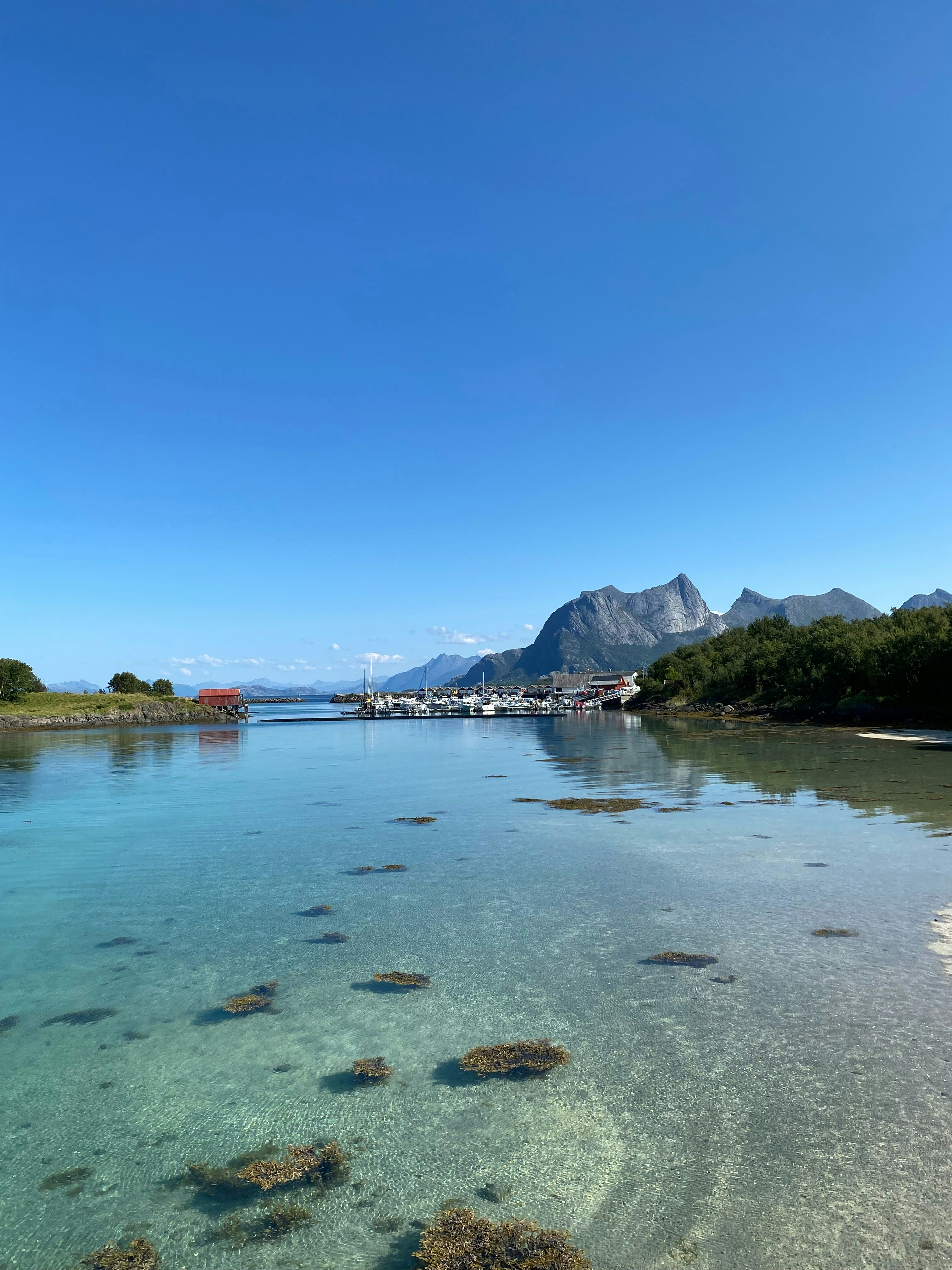 A body of water surrounded by mountains and trees