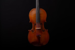A violin with a bow on a black background