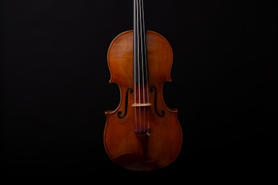 Violin