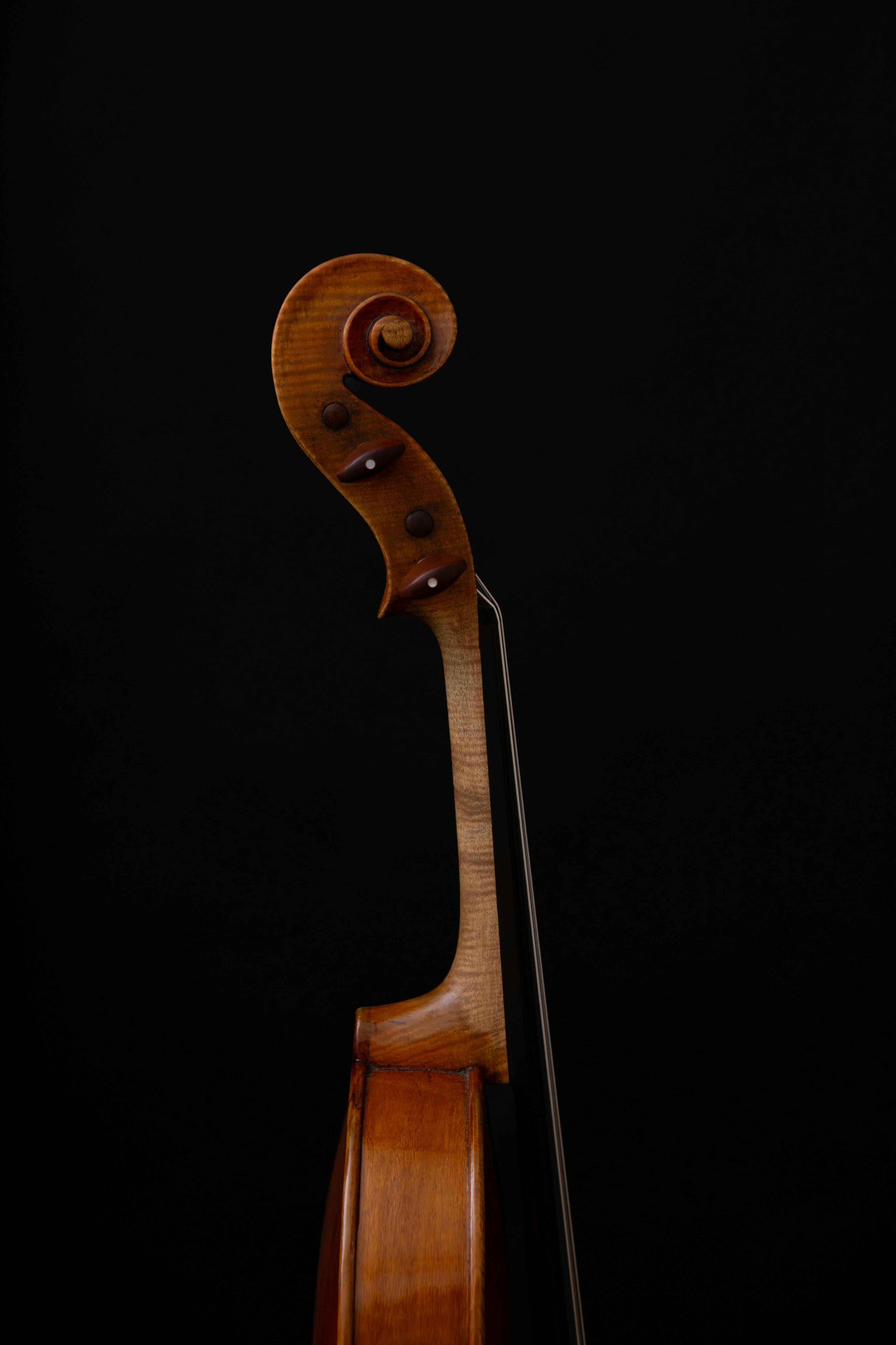 A violin on a black background with a black background