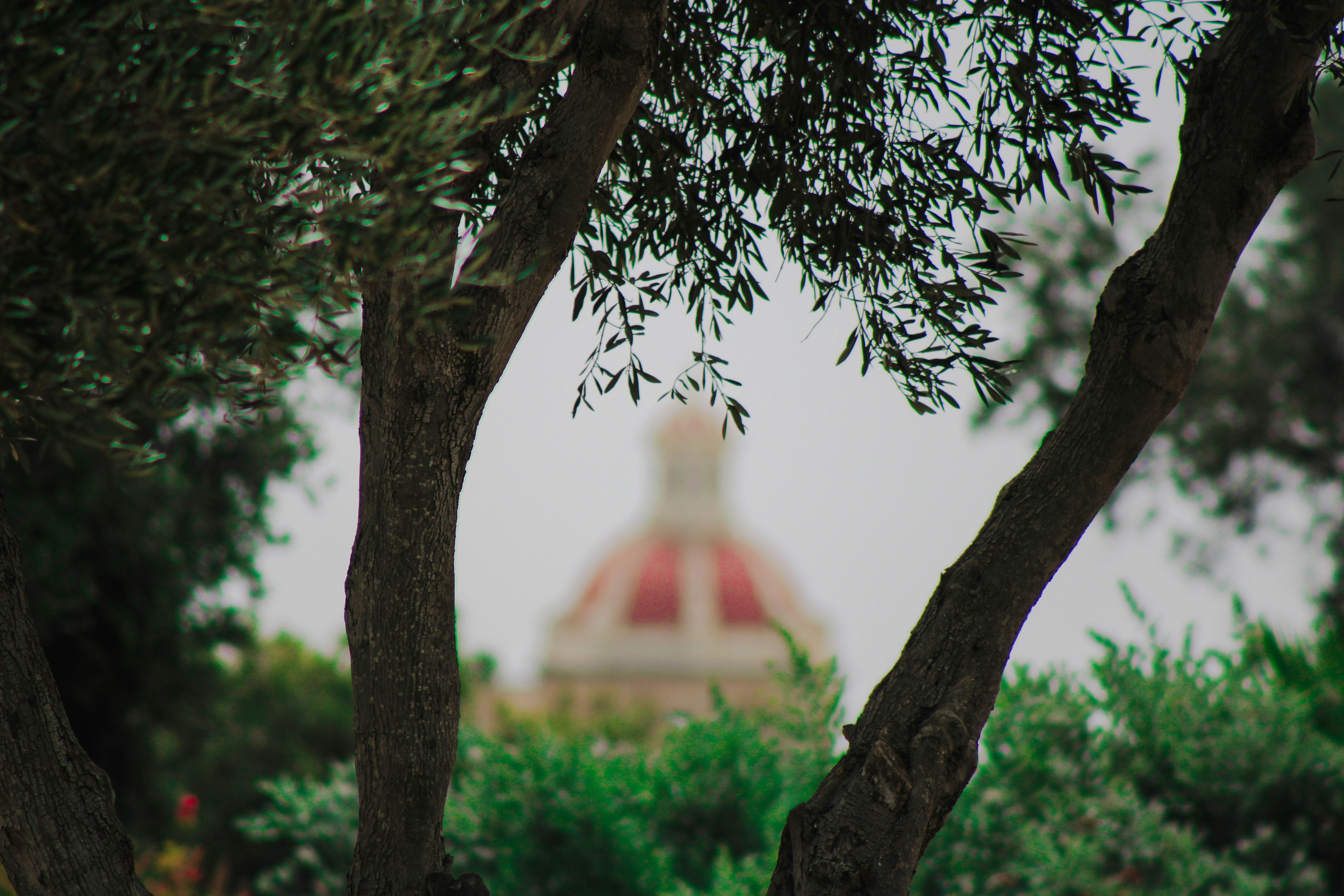 A view of a building through some trees