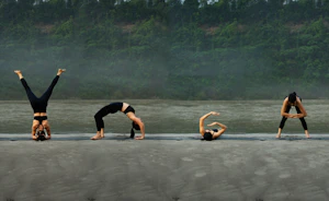 Your progress, your community, your practice