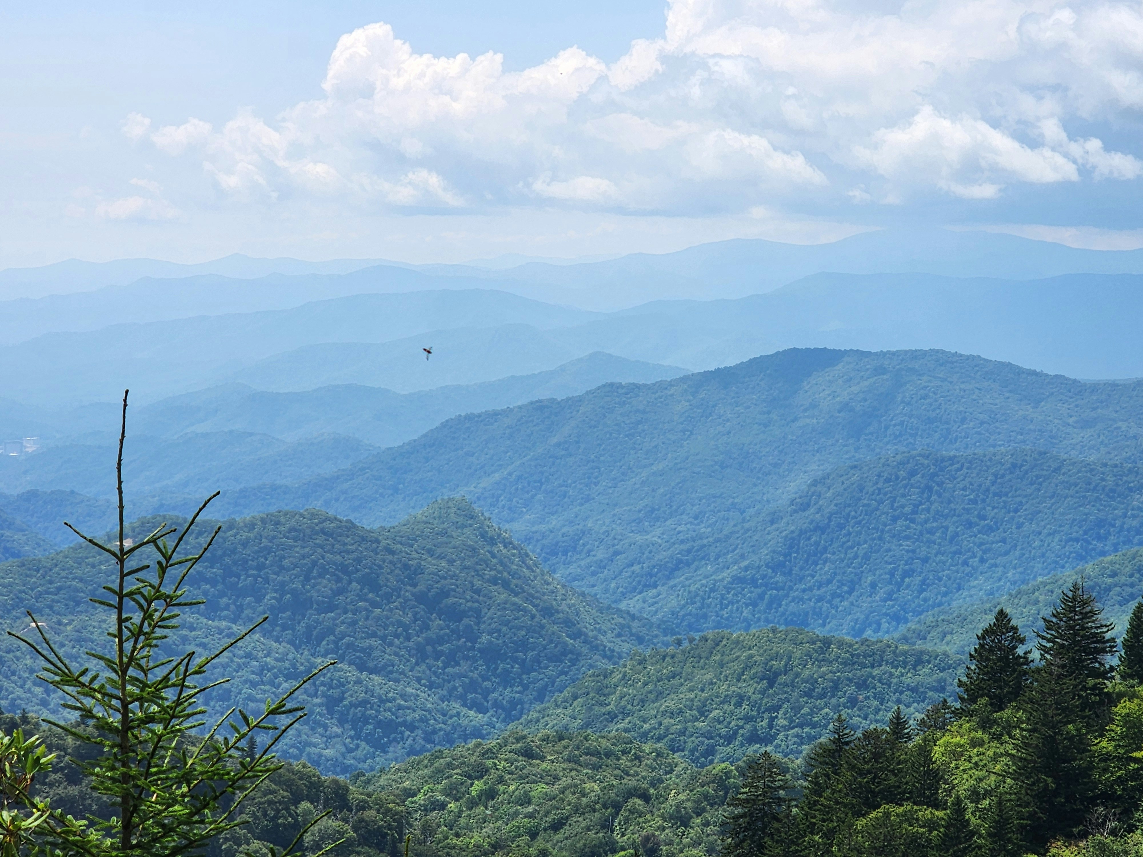 Photo by springbonnie321