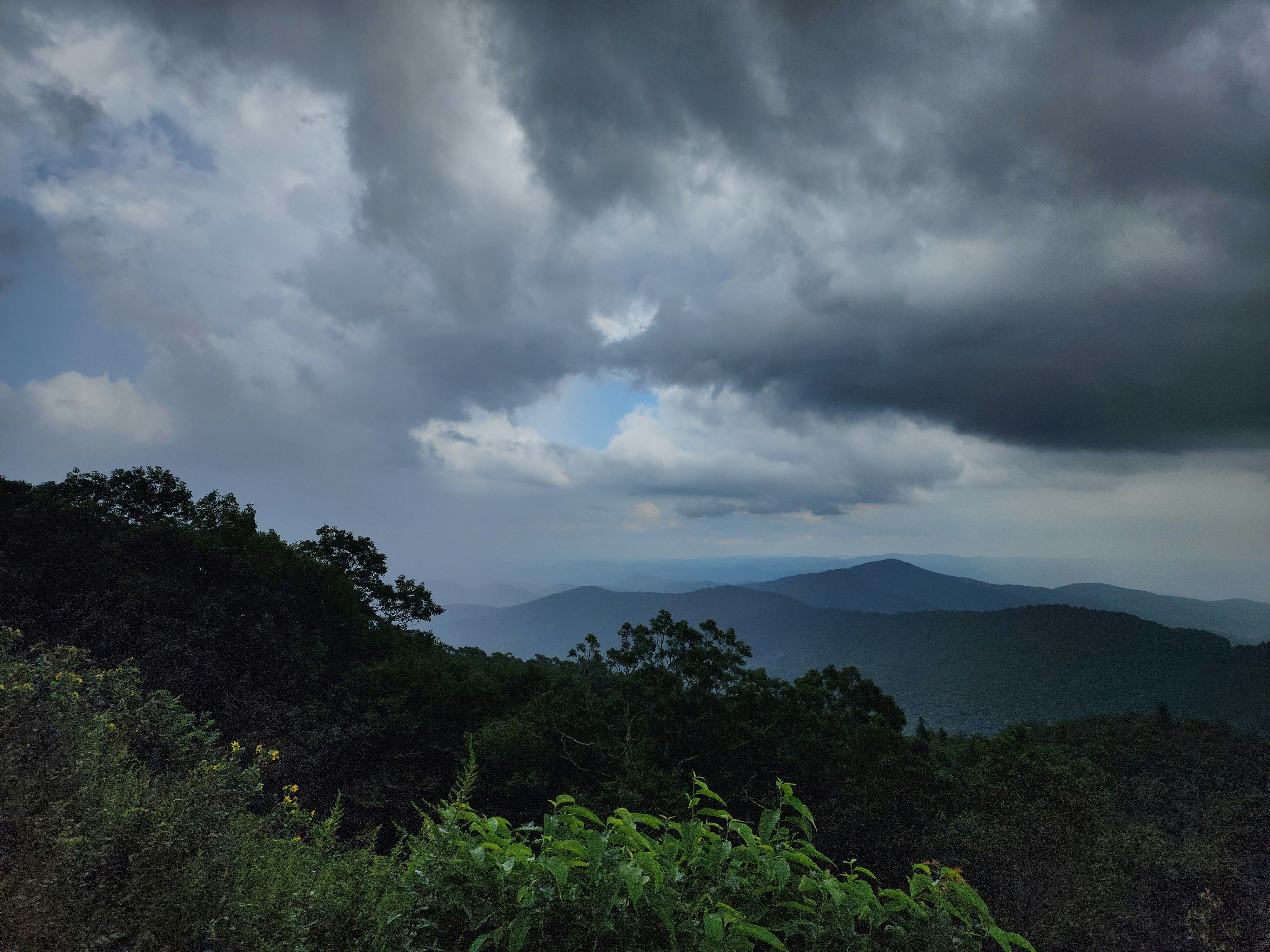 Photo by springbonnie321