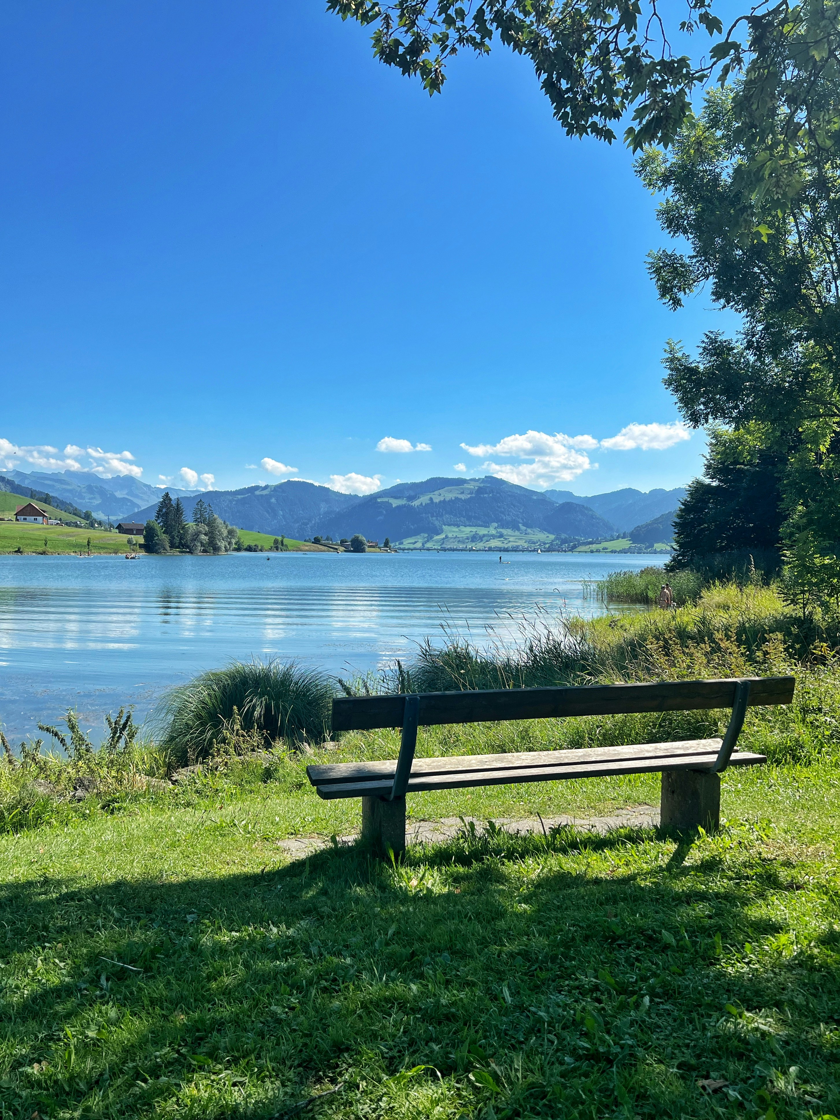 A wooden bench sitting on top of a lush green field