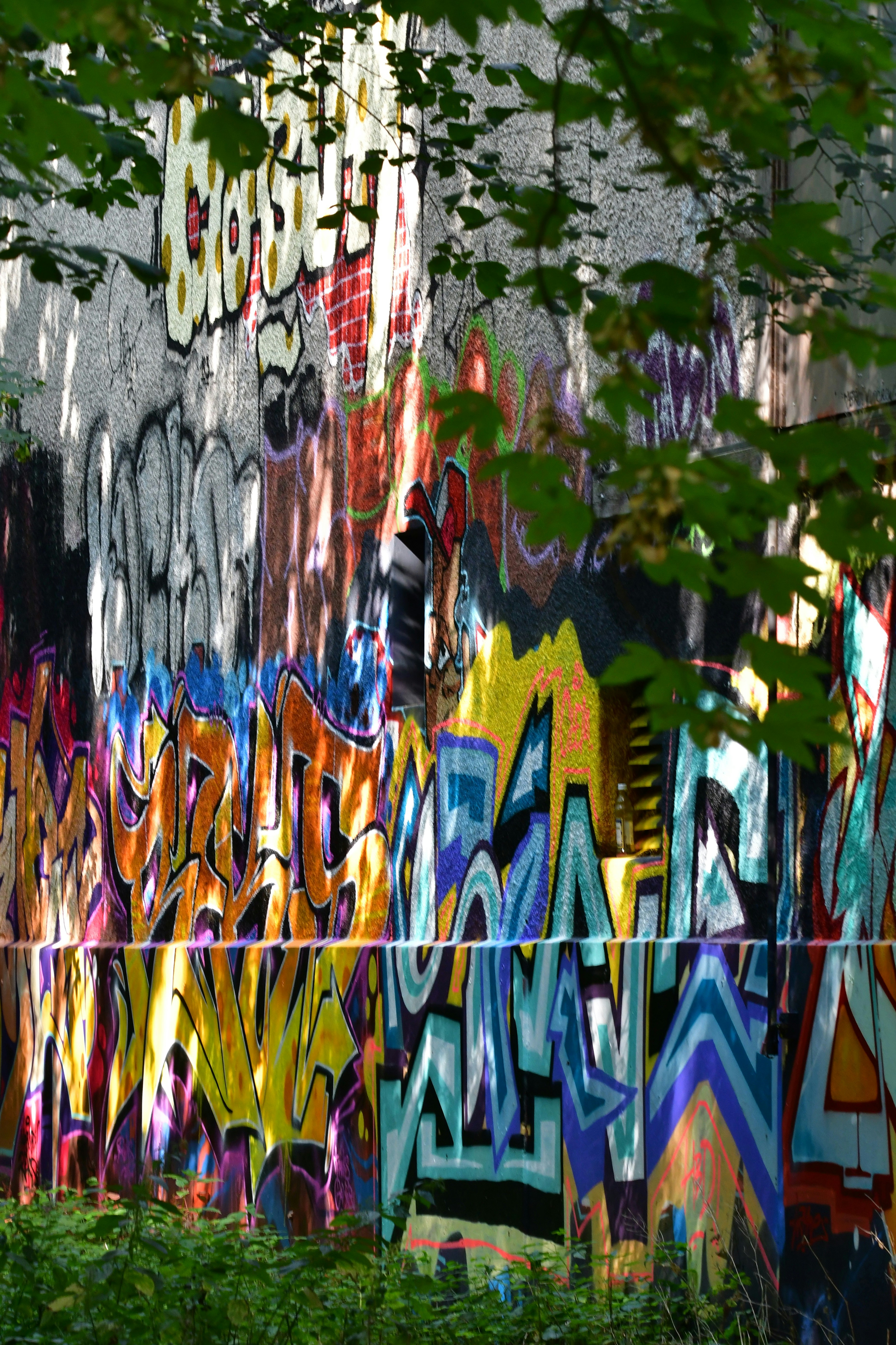 Photo by pedrino5_official