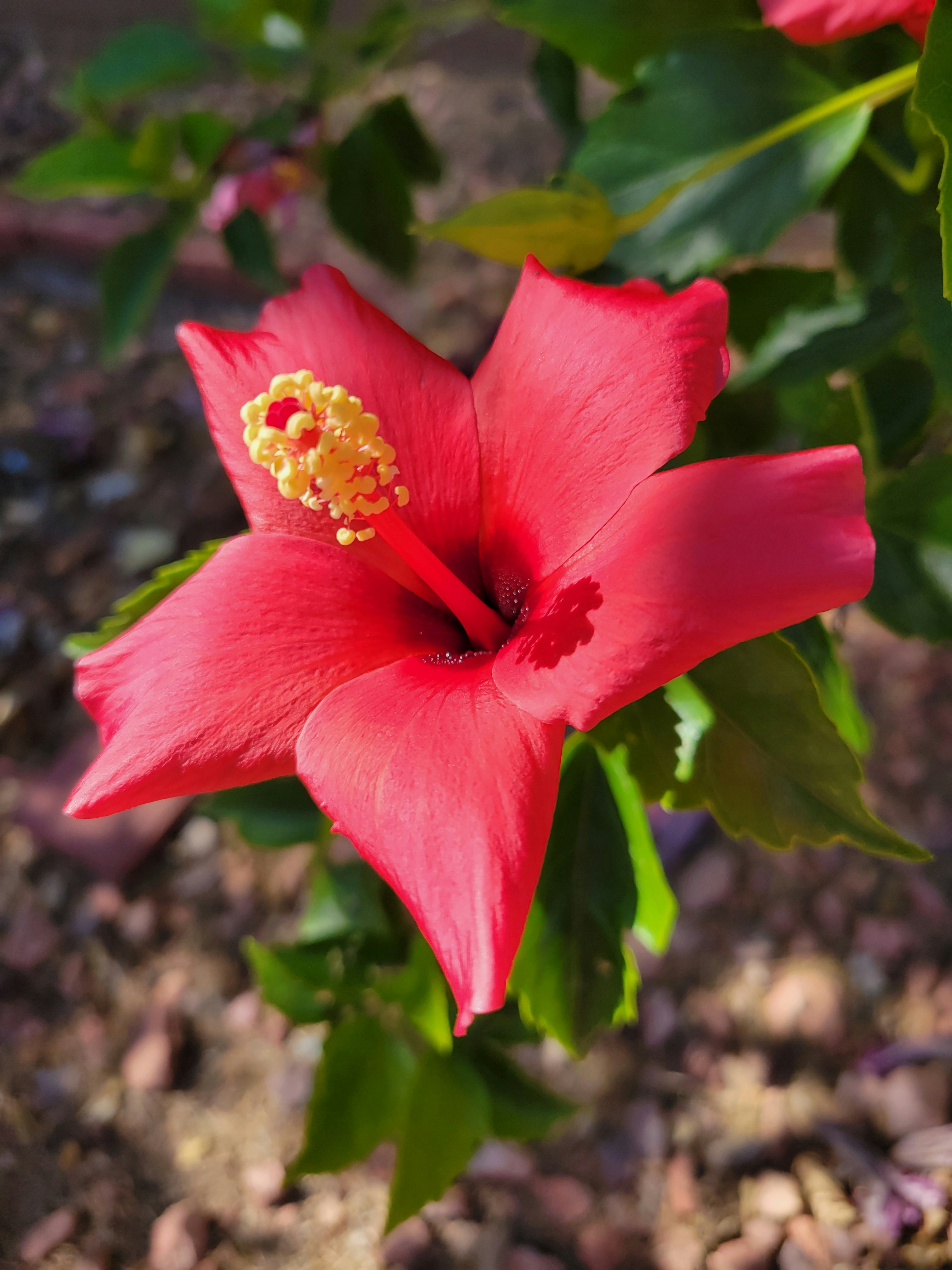 Photo by haripriya_k