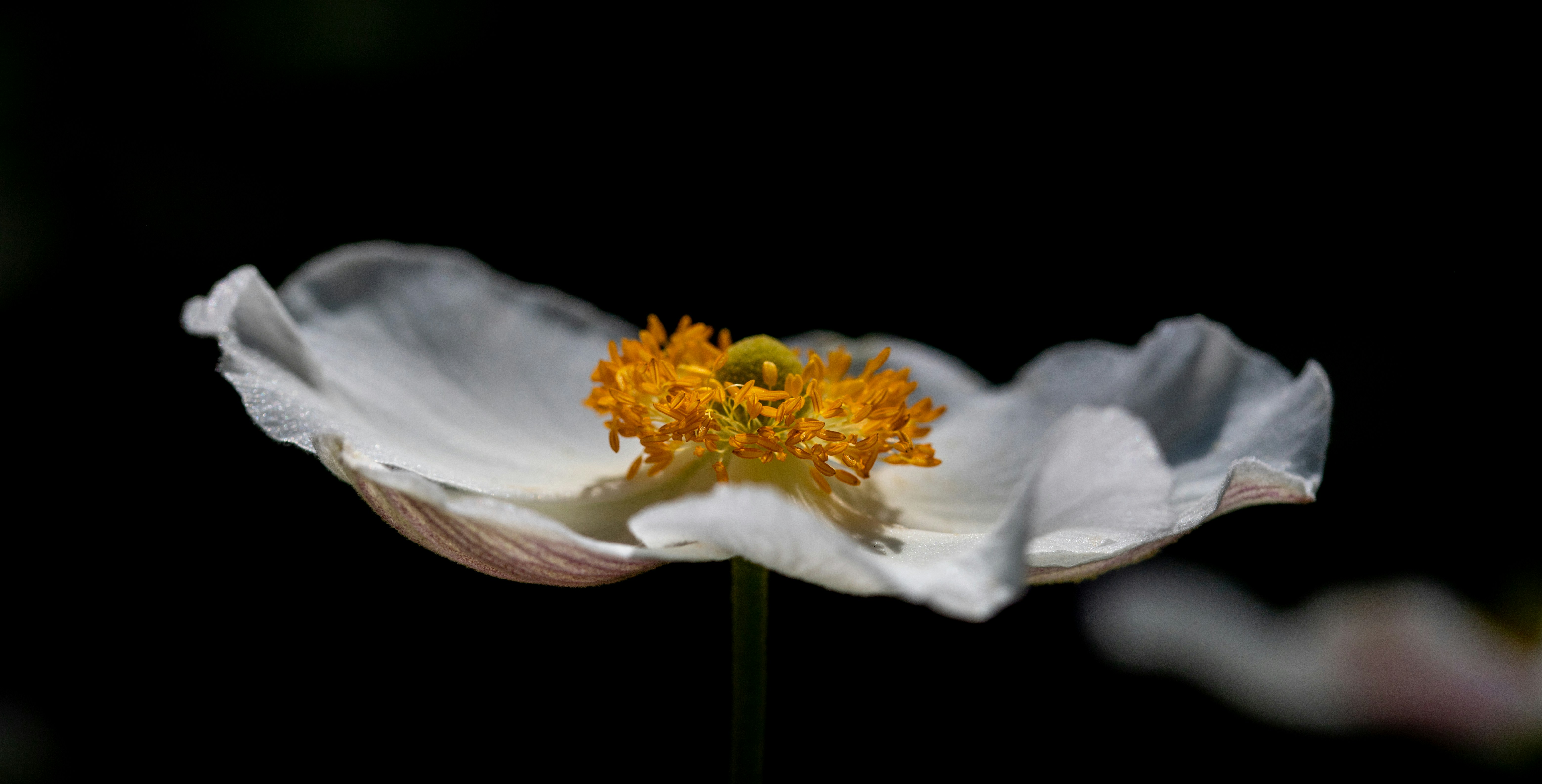 Photo by hdbernd