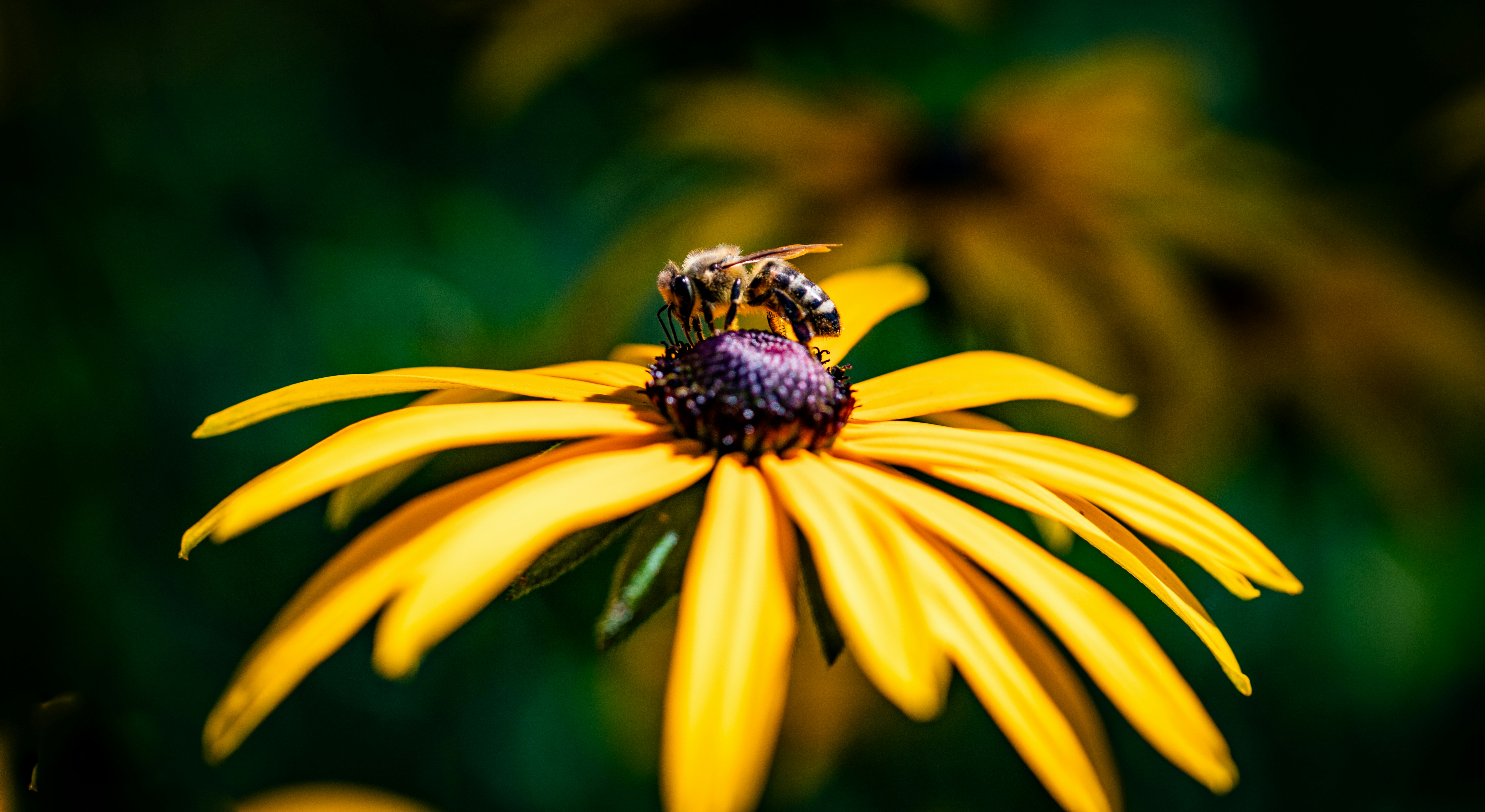 Photo by hdbernd