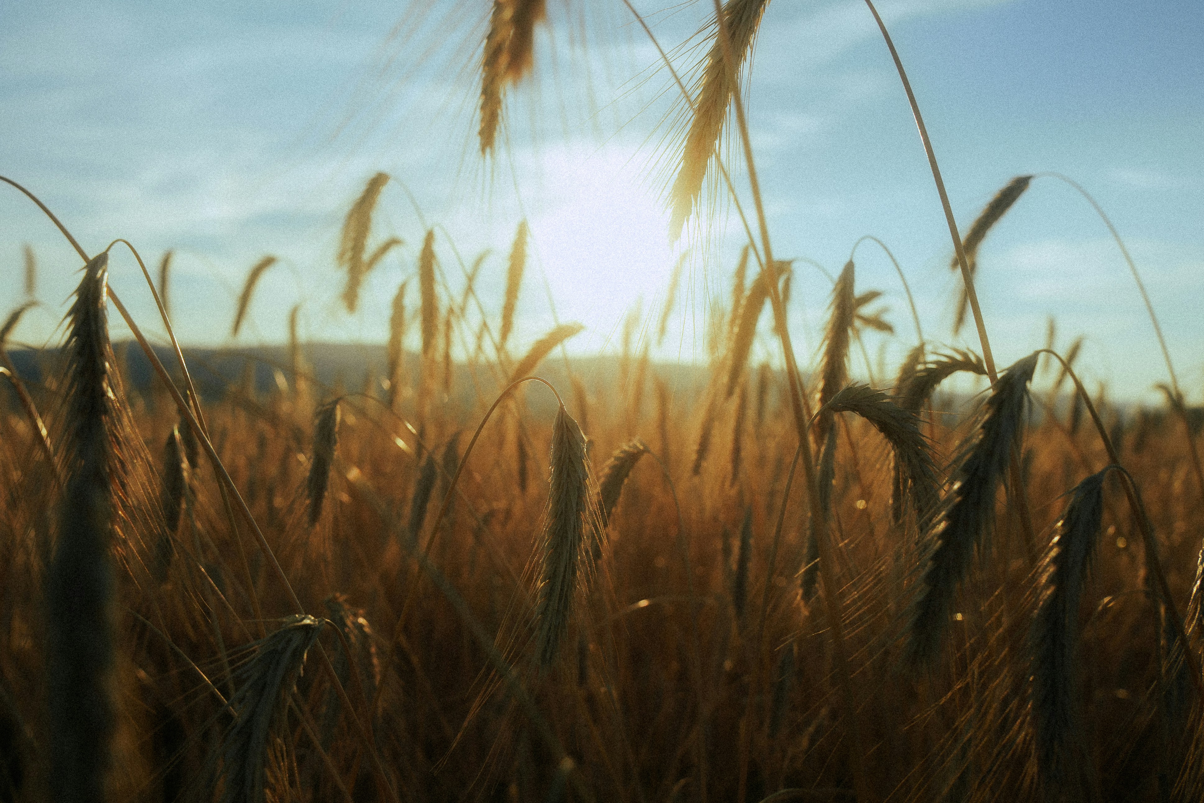 Photo by mylenehaudebourg14