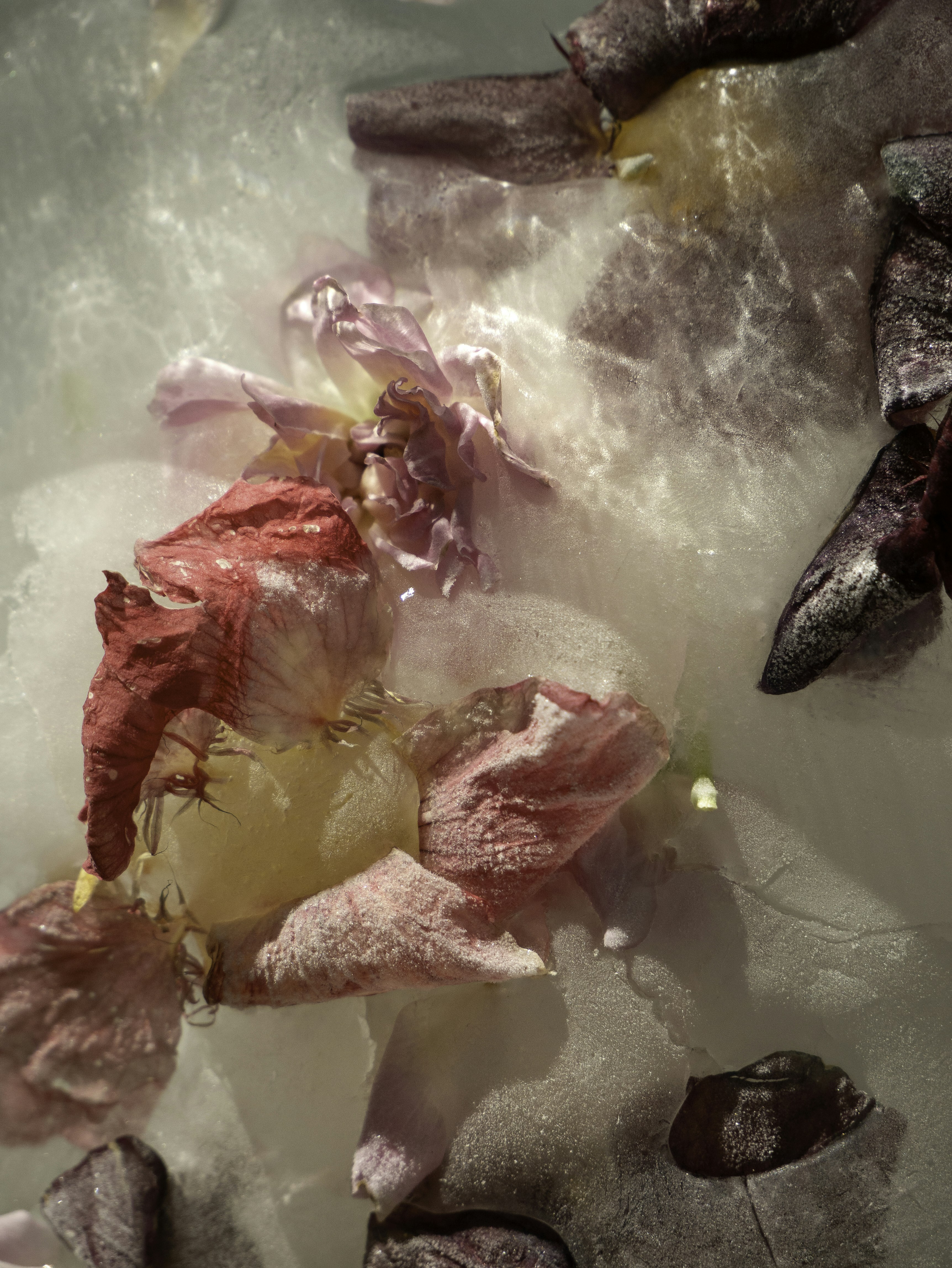 Cosas imagen destacada