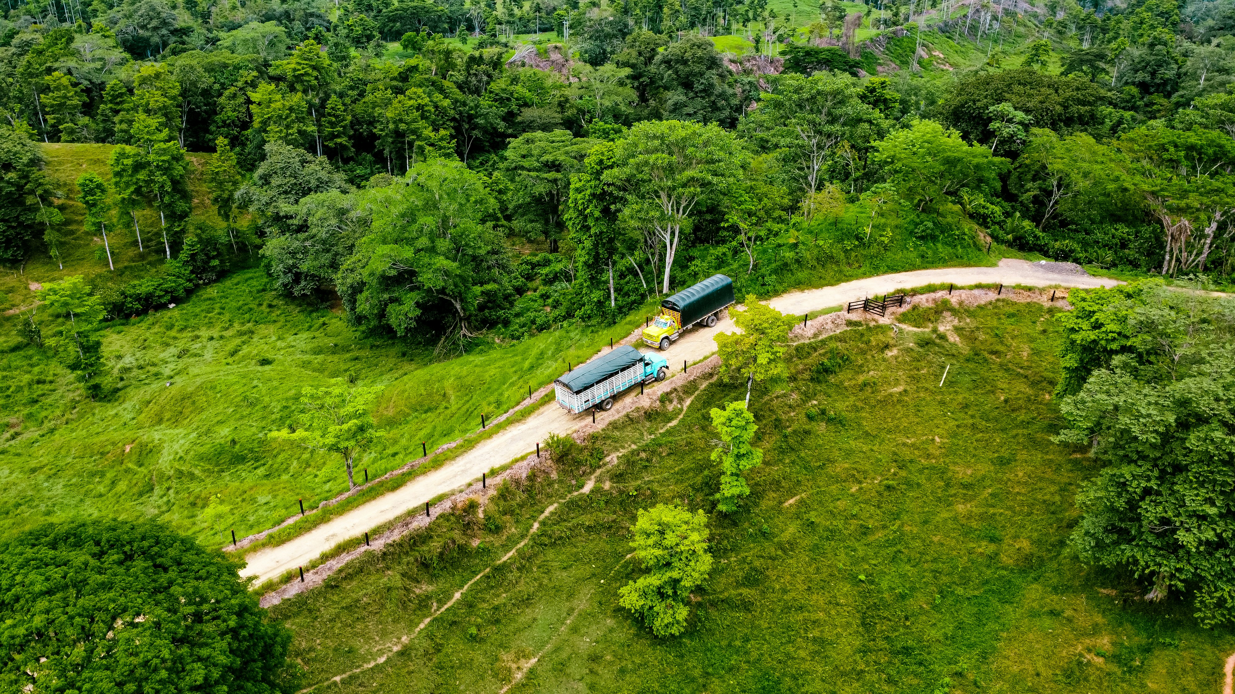 An aerial view of a dirt road in the middle of a forest
