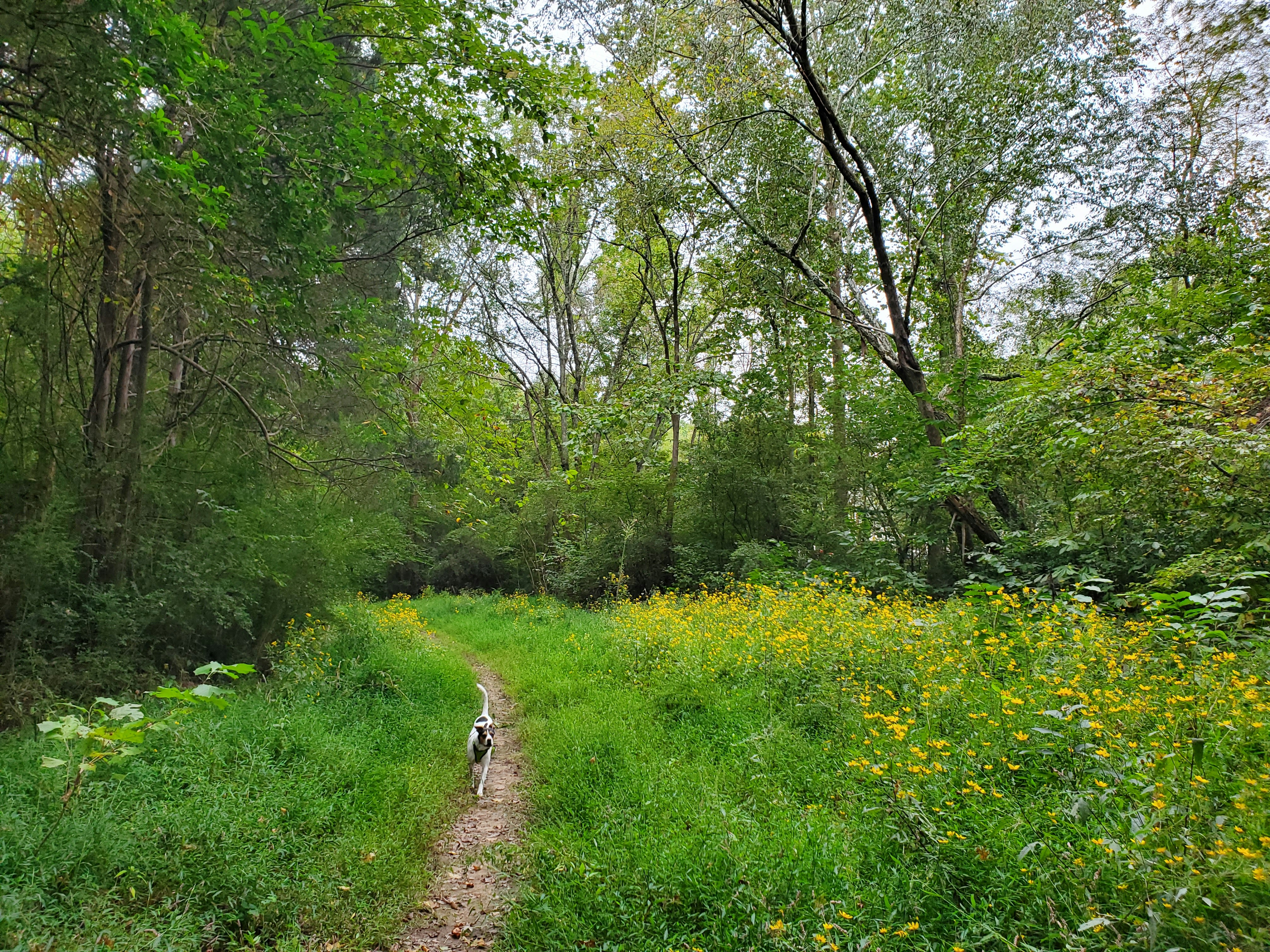 Photo by karolinabobek