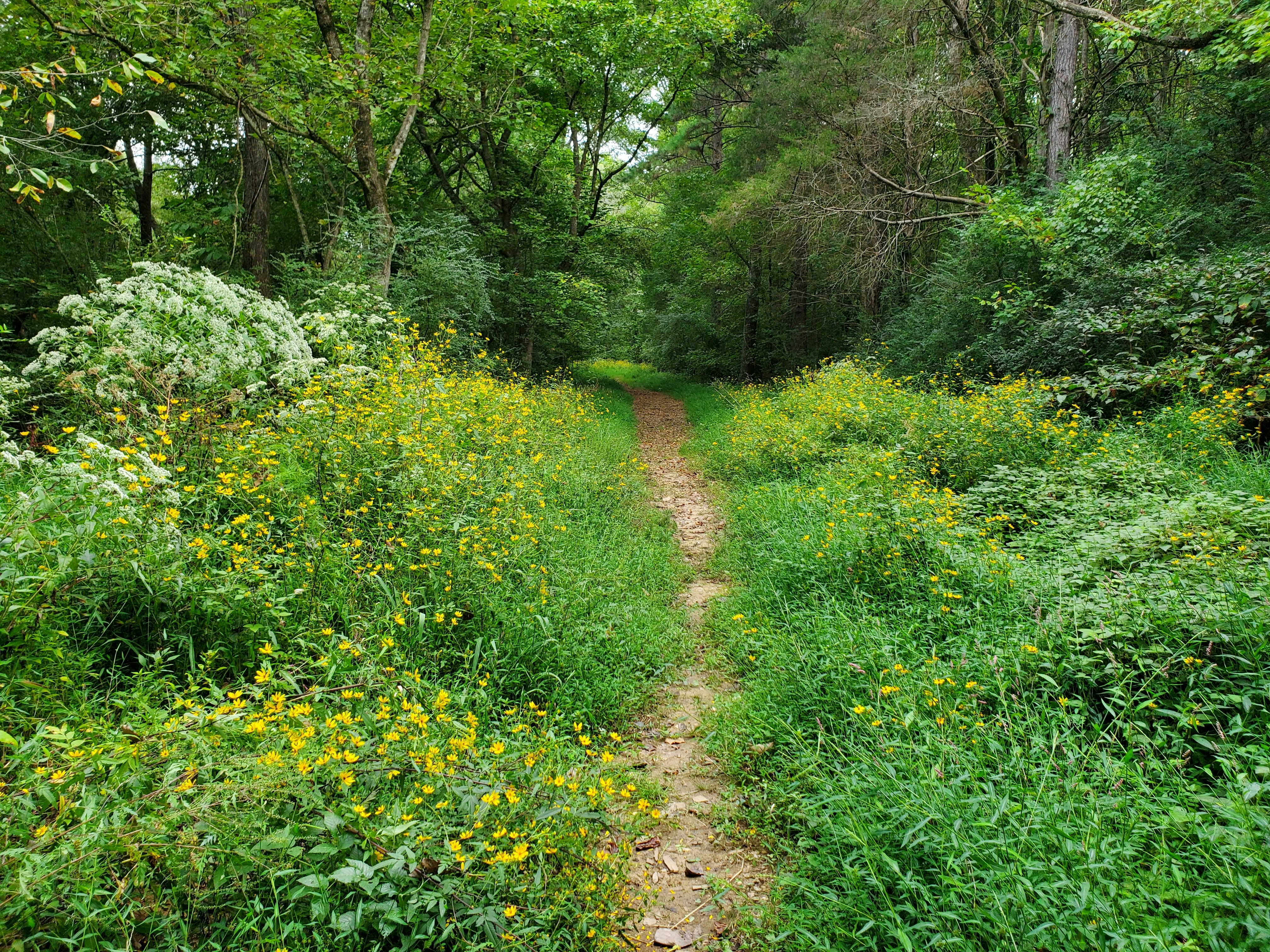 Photo by karolinabobek